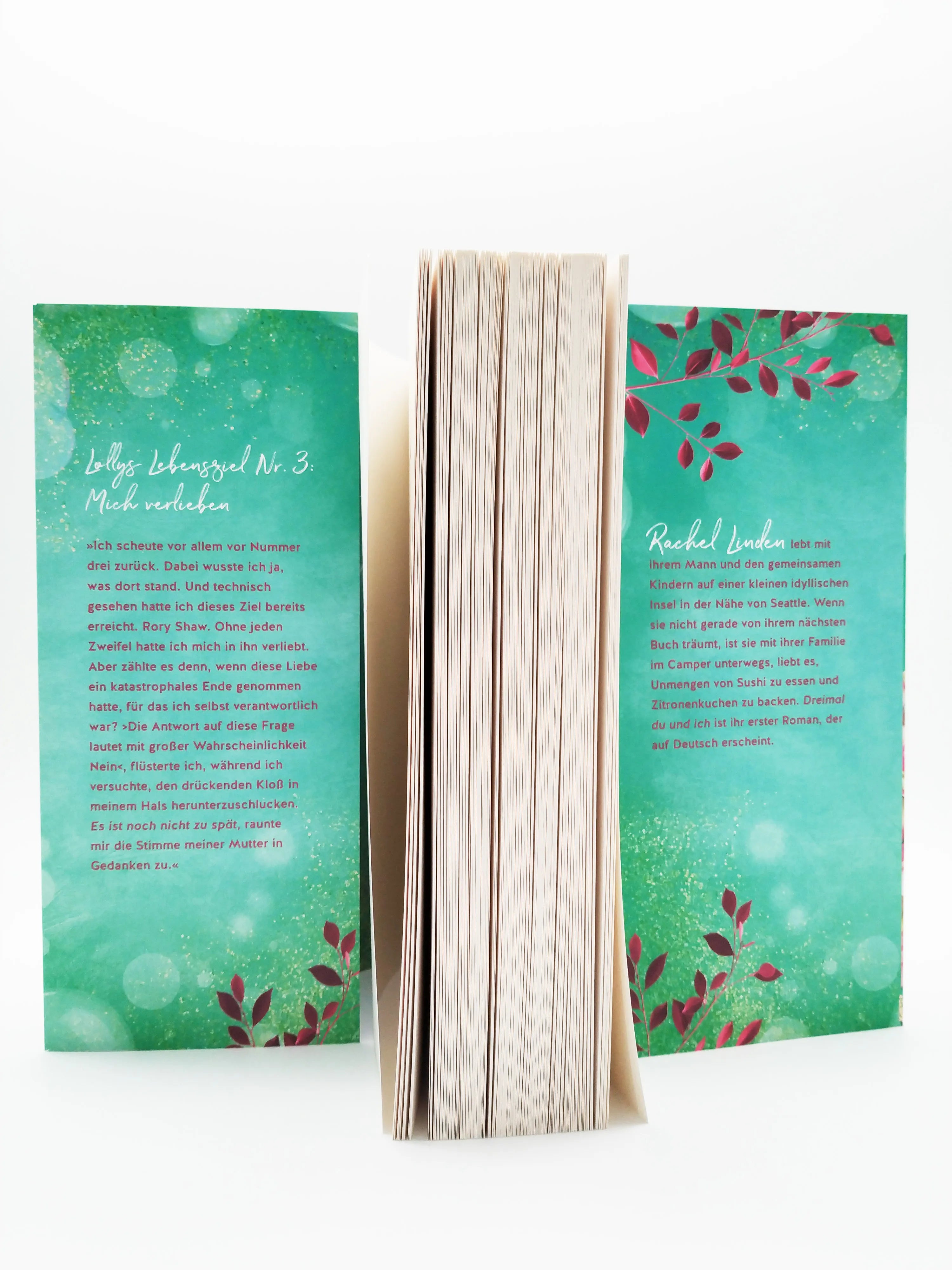 Produktansicht: Dreimal du und ich (Paperback)