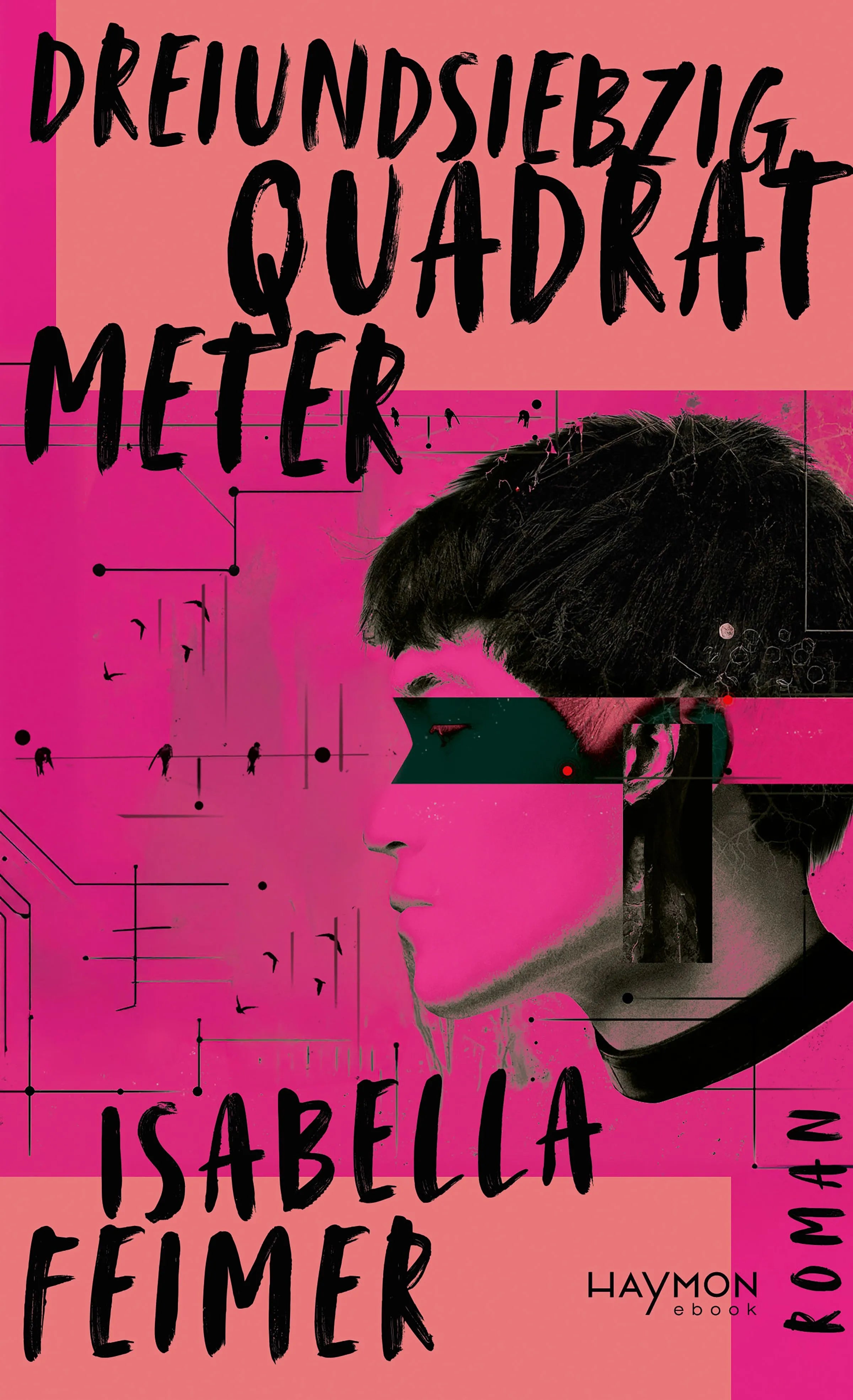 Cover: Dreiundsiebzig Quadratmeter (E-Book) von Isabella Feimer