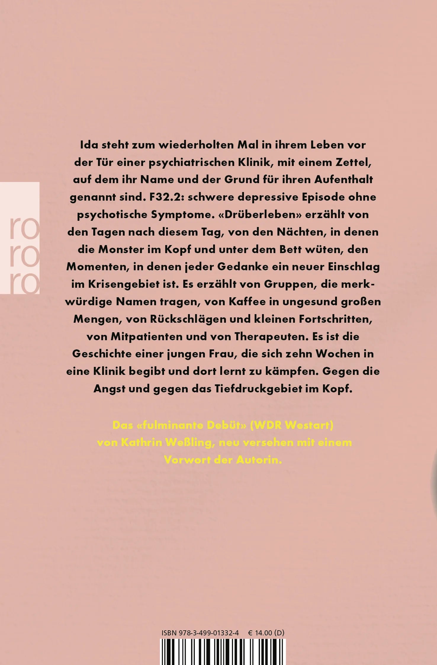 Buchrückseite von 'Drüberleben' mit Klappentext - Taschenbuch