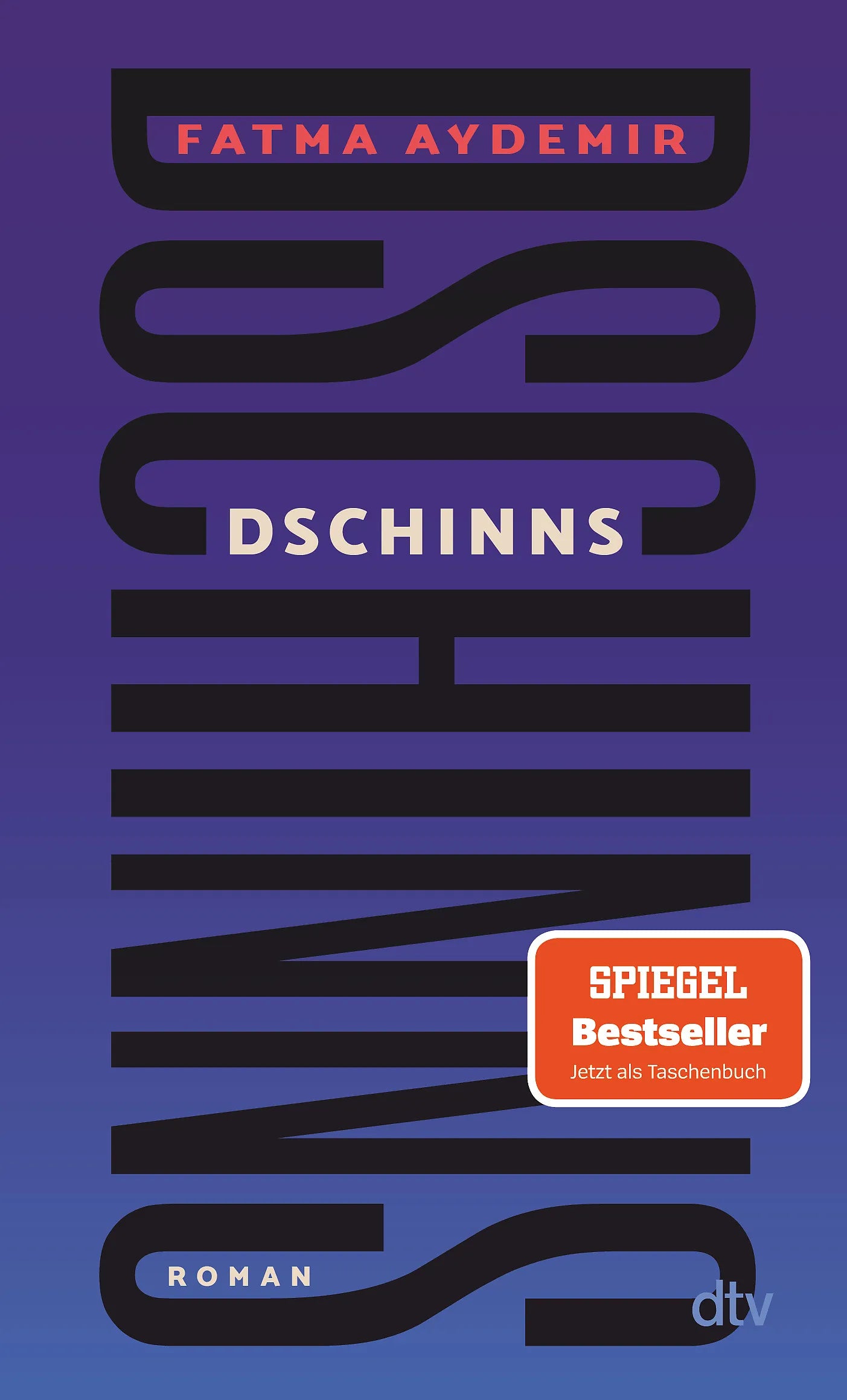 Cover: Dschinns (Taschenbuch) von Fatma Aydemir