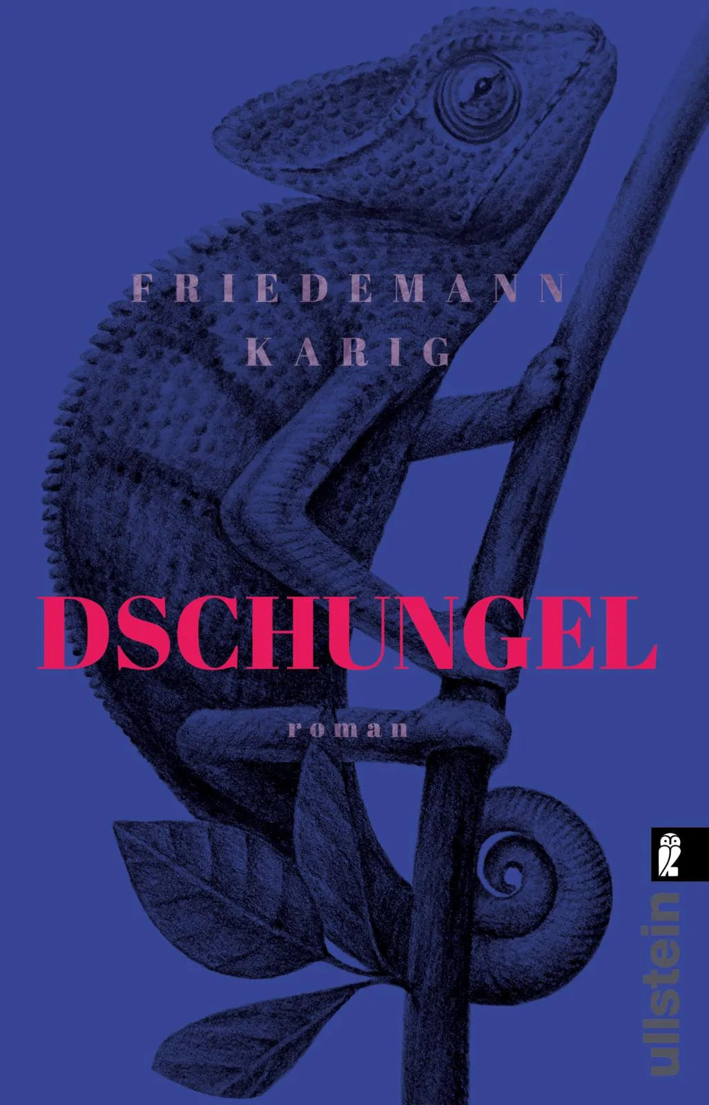 Buchcover von 'Dschungel' - Taschenbuch von Friedemann Karig