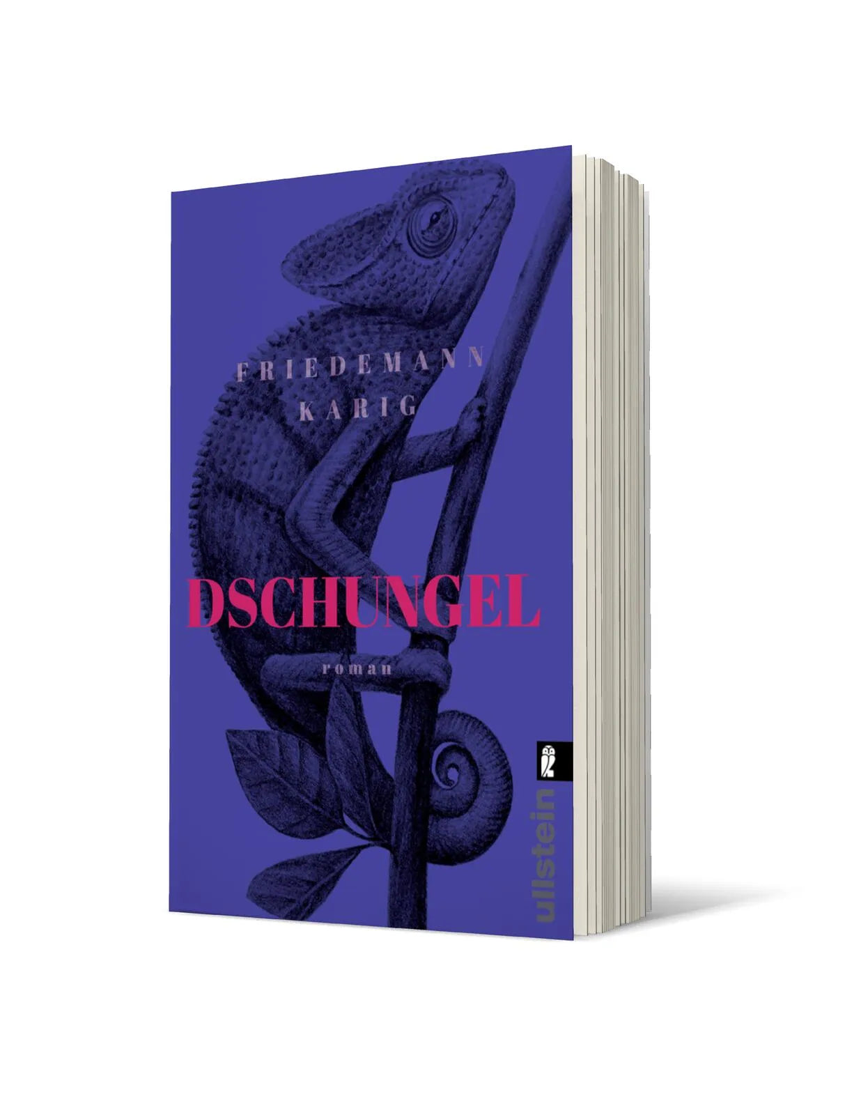 Produktansicht: Dschungel (Taschenbuch)