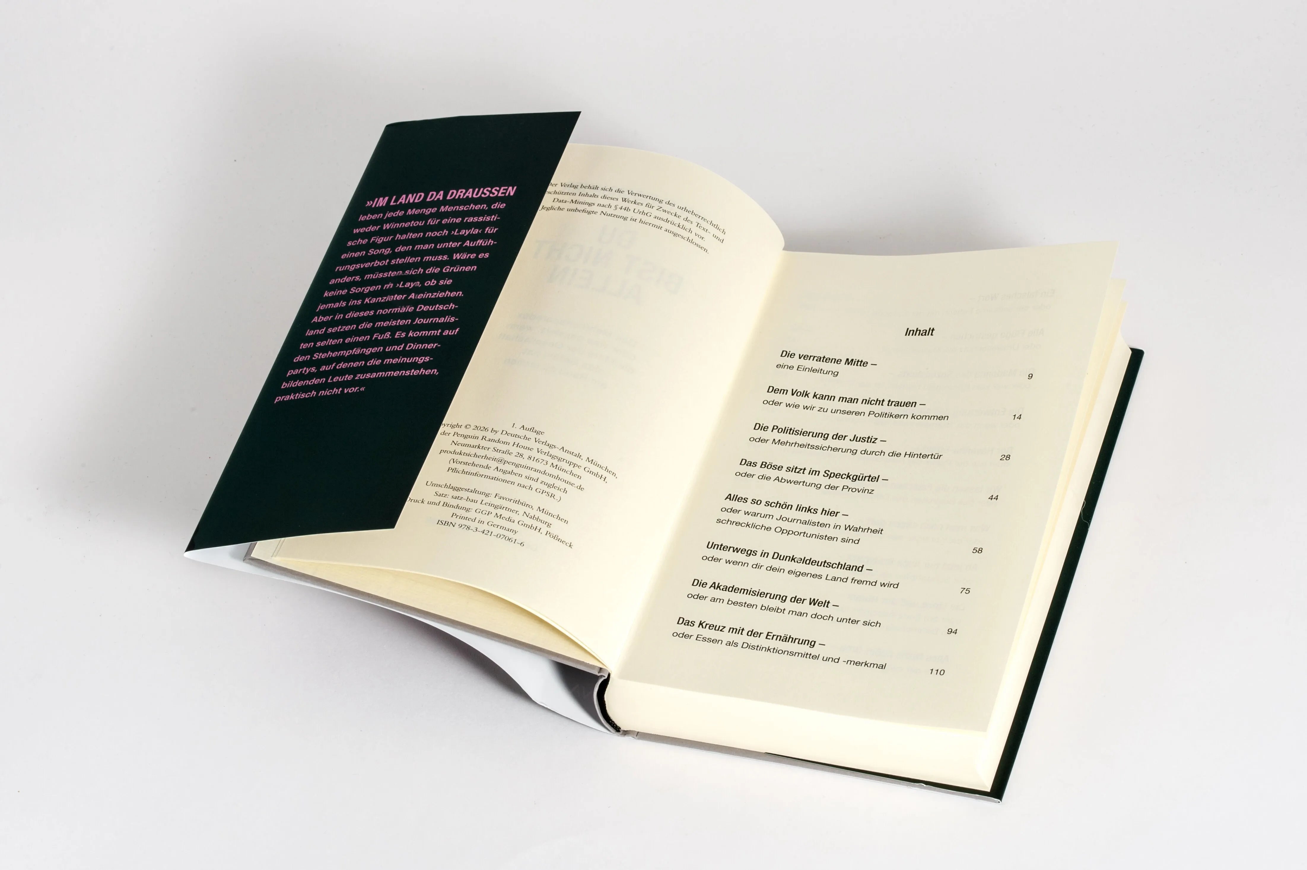 Detailansicht: Du bist nicht allein (Hardcover)