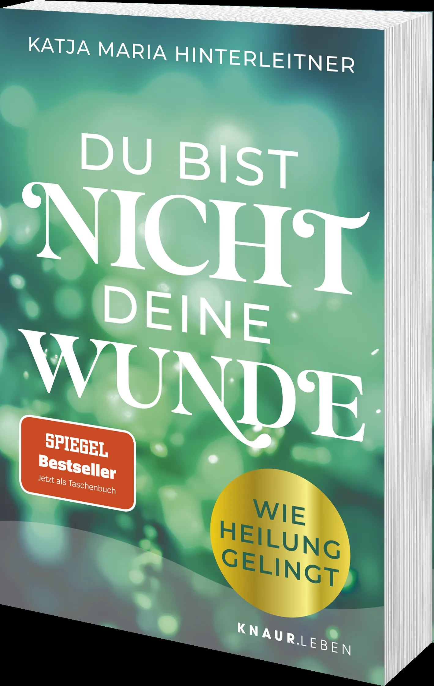 Detailansicht: Du bist nicht deine Wunde (Taschenbuch)