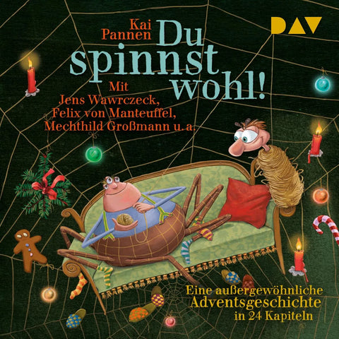 Du spinnst wohl! Eine außergewöhnliche Adventsgeschichte in 24 Kapiteln