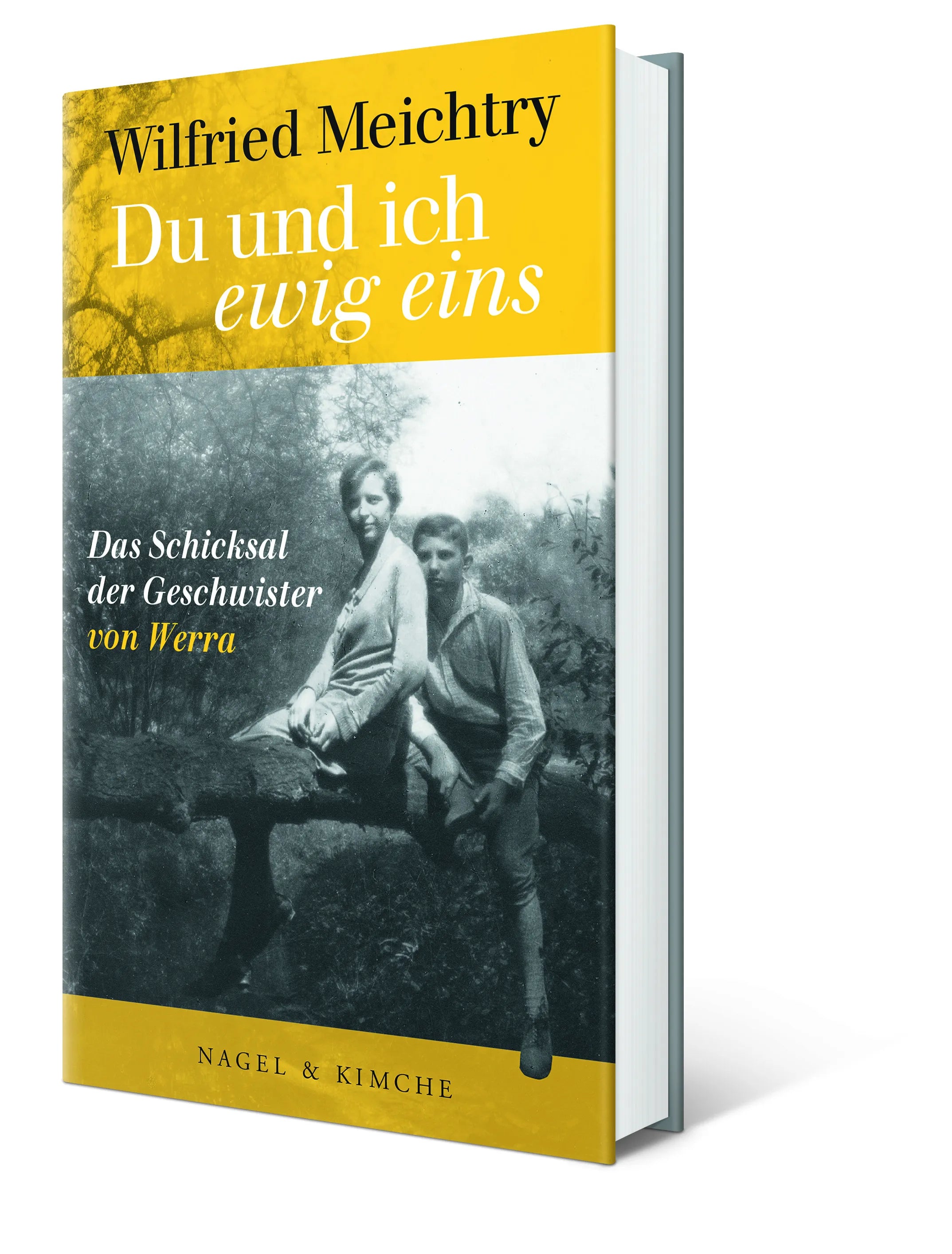 Wilfried Meichtry - Du und ich – ewig eins