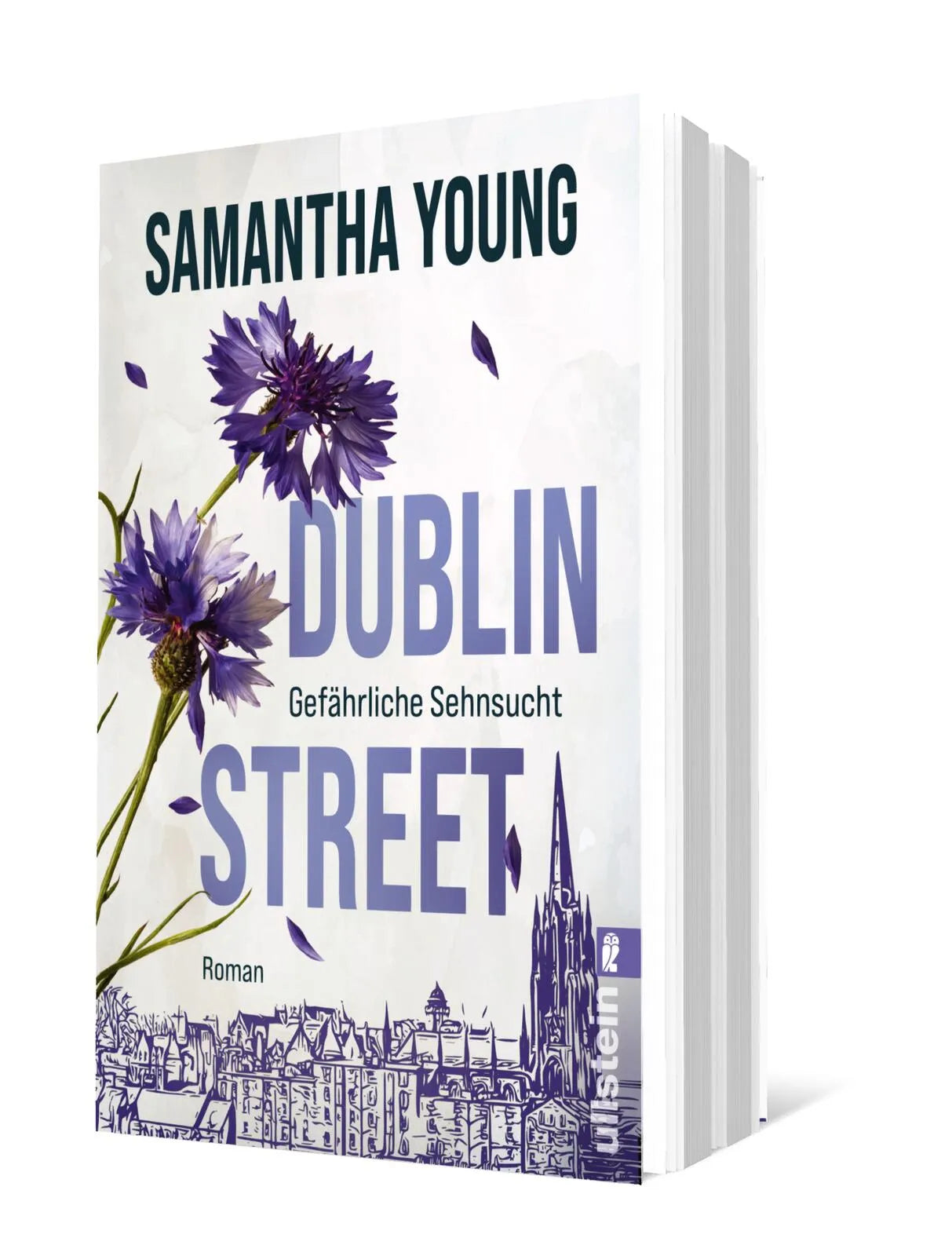 Produktansicht: Dublin Street – Gefährliche Sehnsucht (Paperback)