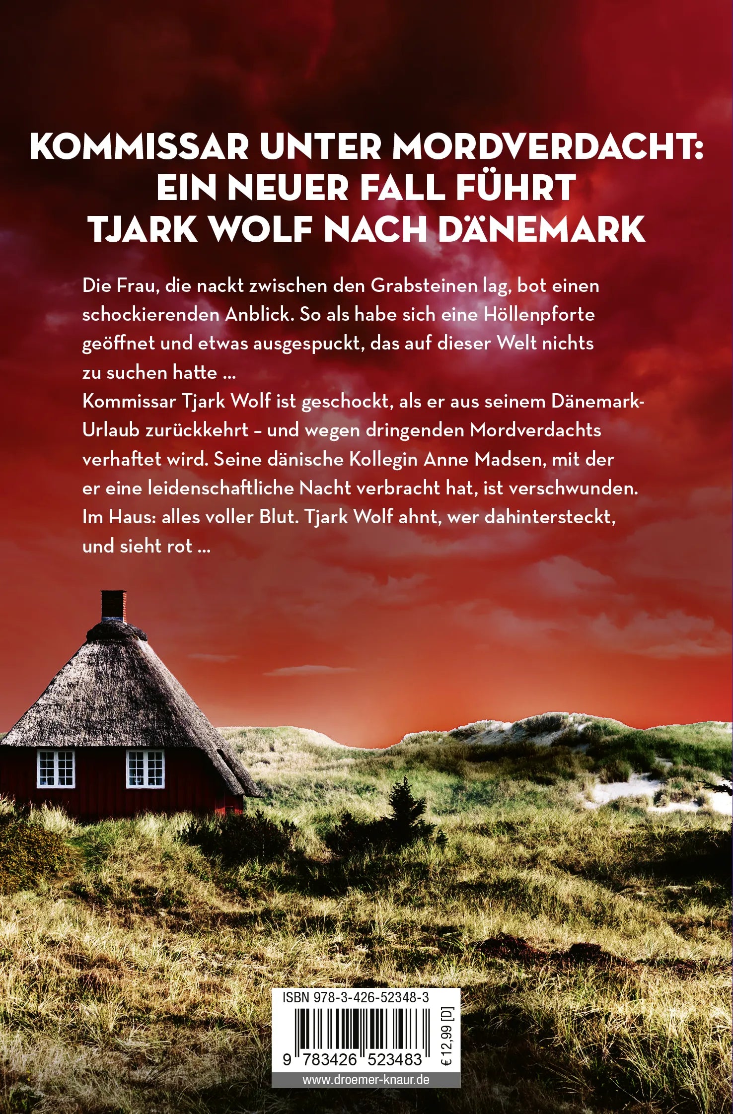 Buchrückseite von 'Dünenblut' mit Klappentext - Taschenbuch