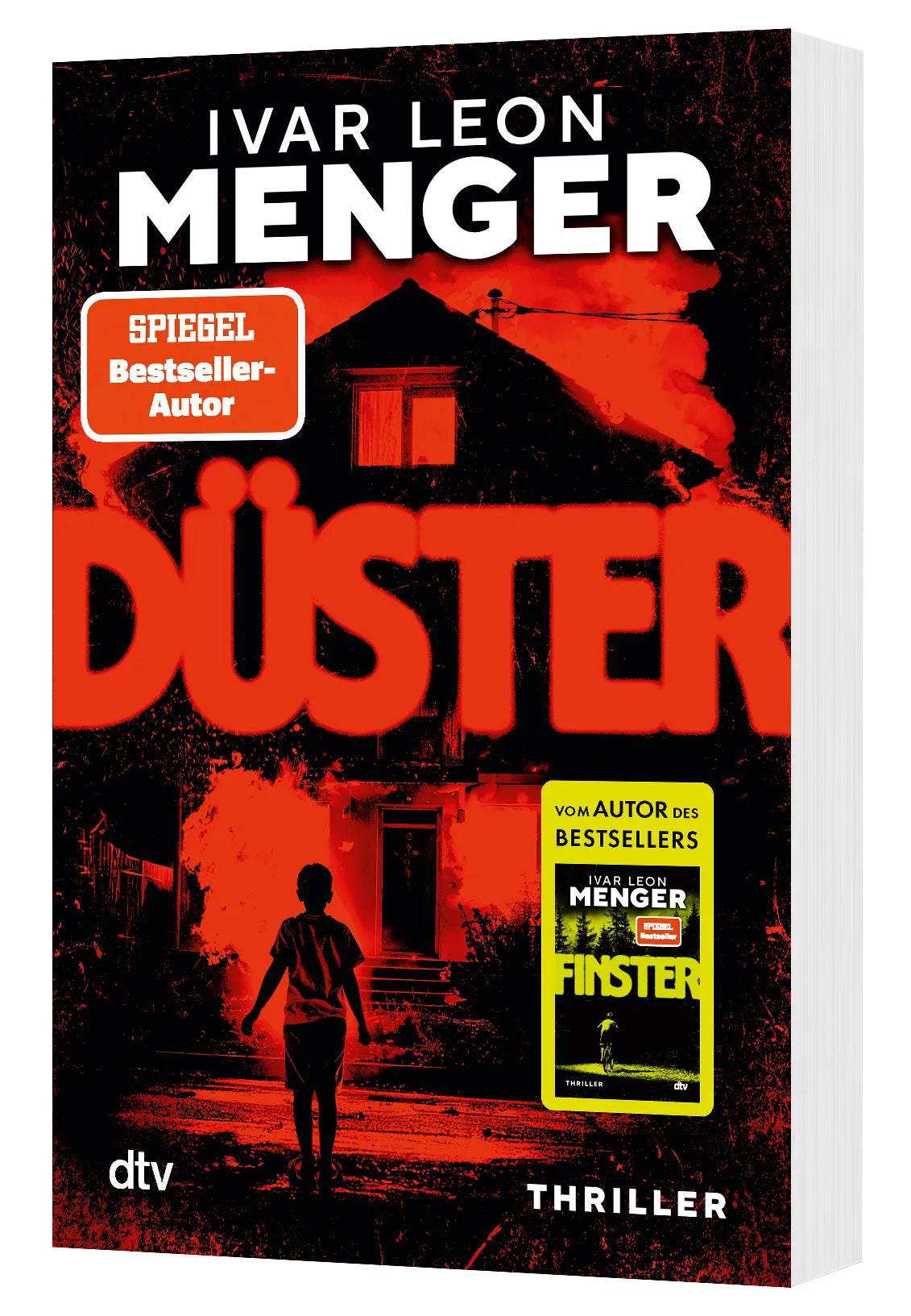 Detailansicht: Düster (Taschenbuch)