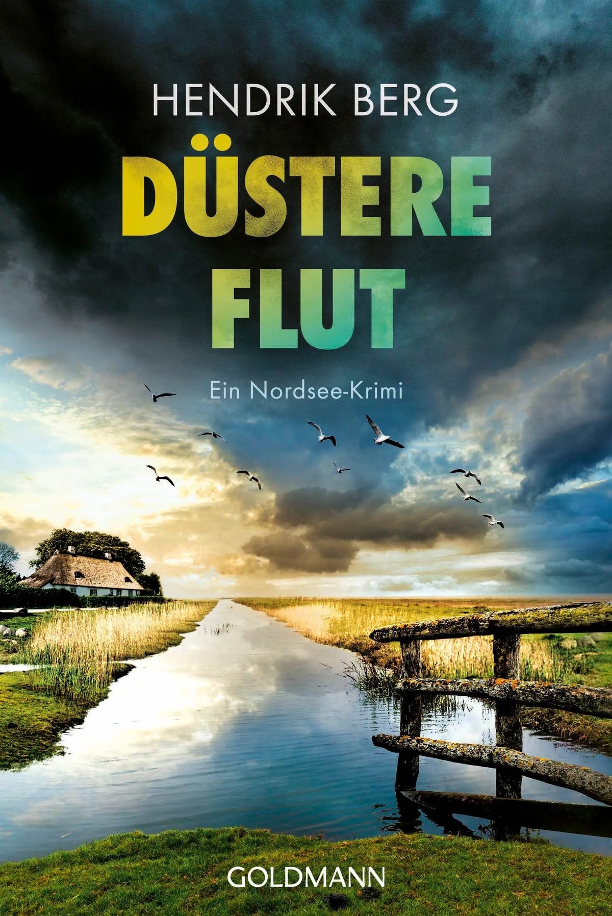 Cover: Düstere Flut (Taschenbuch) von Hendrik Berg