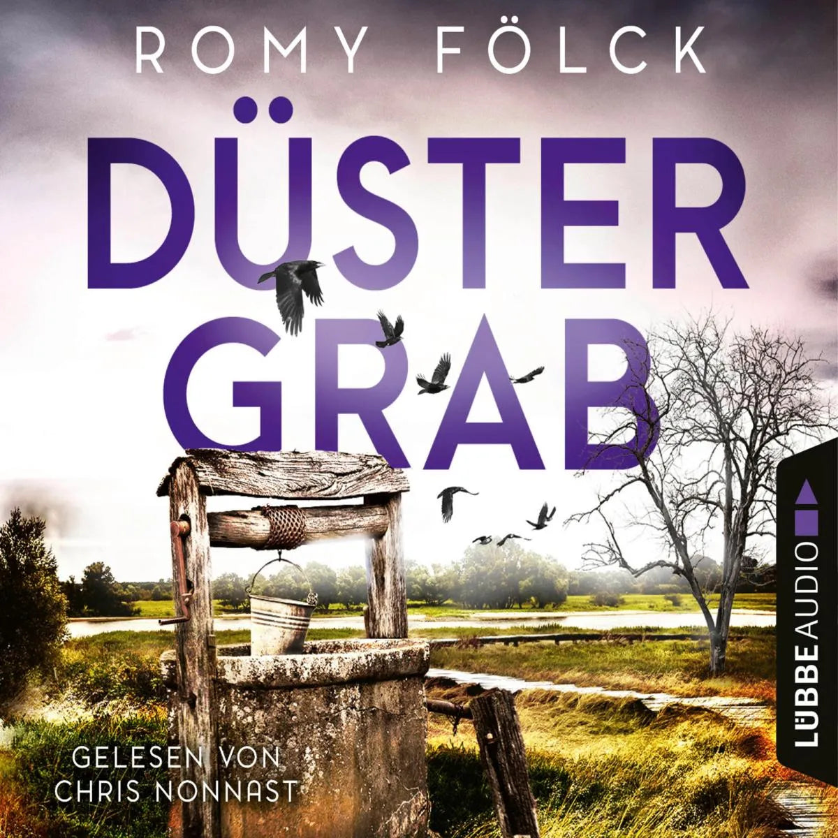Cover: Düstergrab (Hörbuch Download) von Romy Fölck
