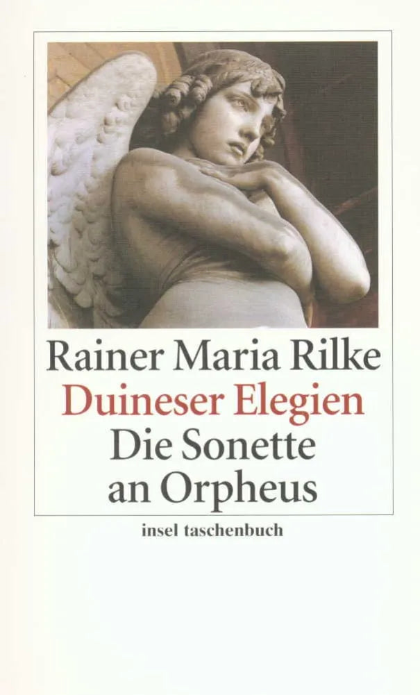 Buchcover von 'Duineser Elegien. Die Sonette an Orpheus' - Taschenbuch von Rainer Maria Rilke