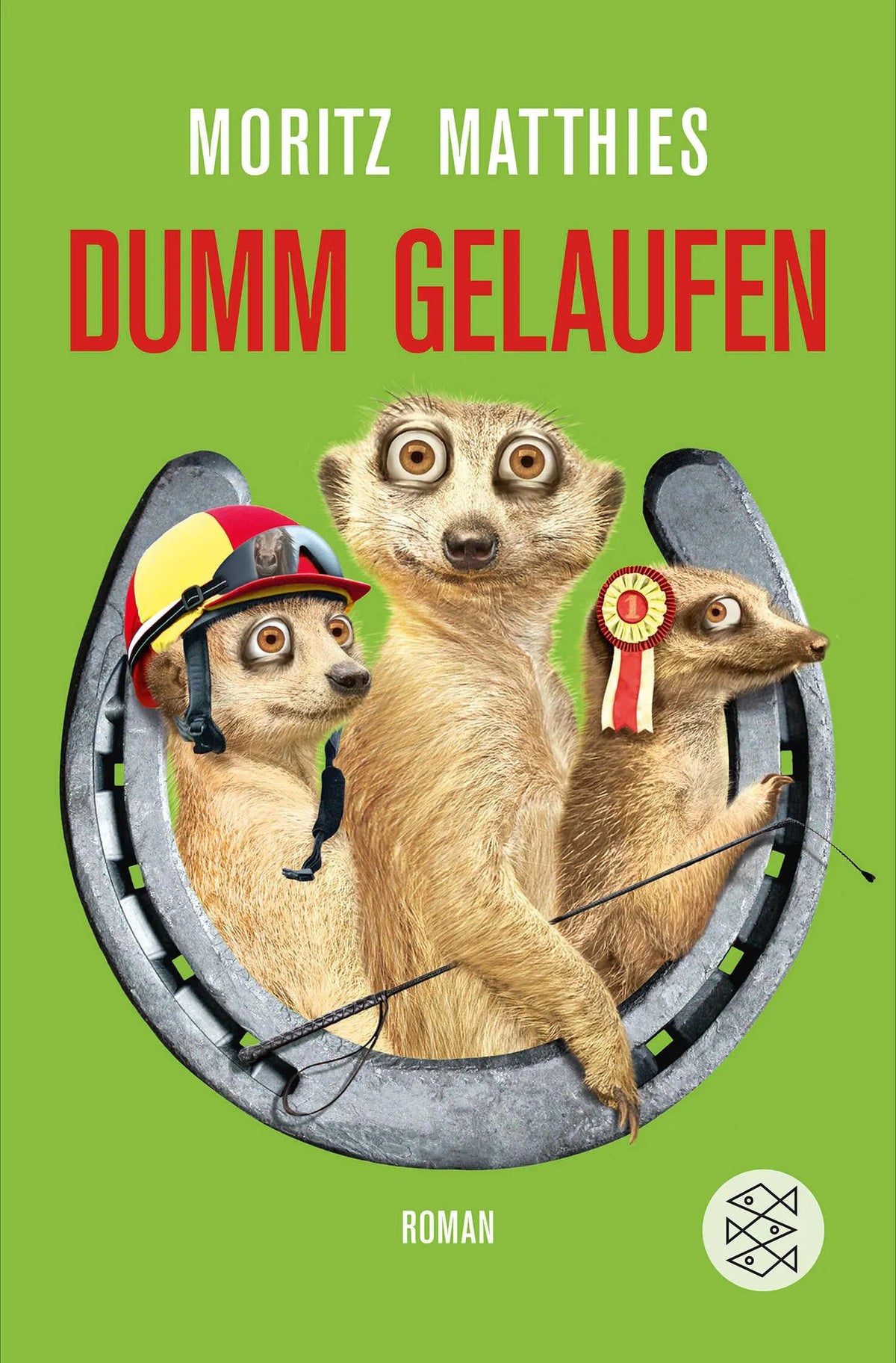 Cover: Dumm gelaufen (Taschenbuch) von Moritz Matthies