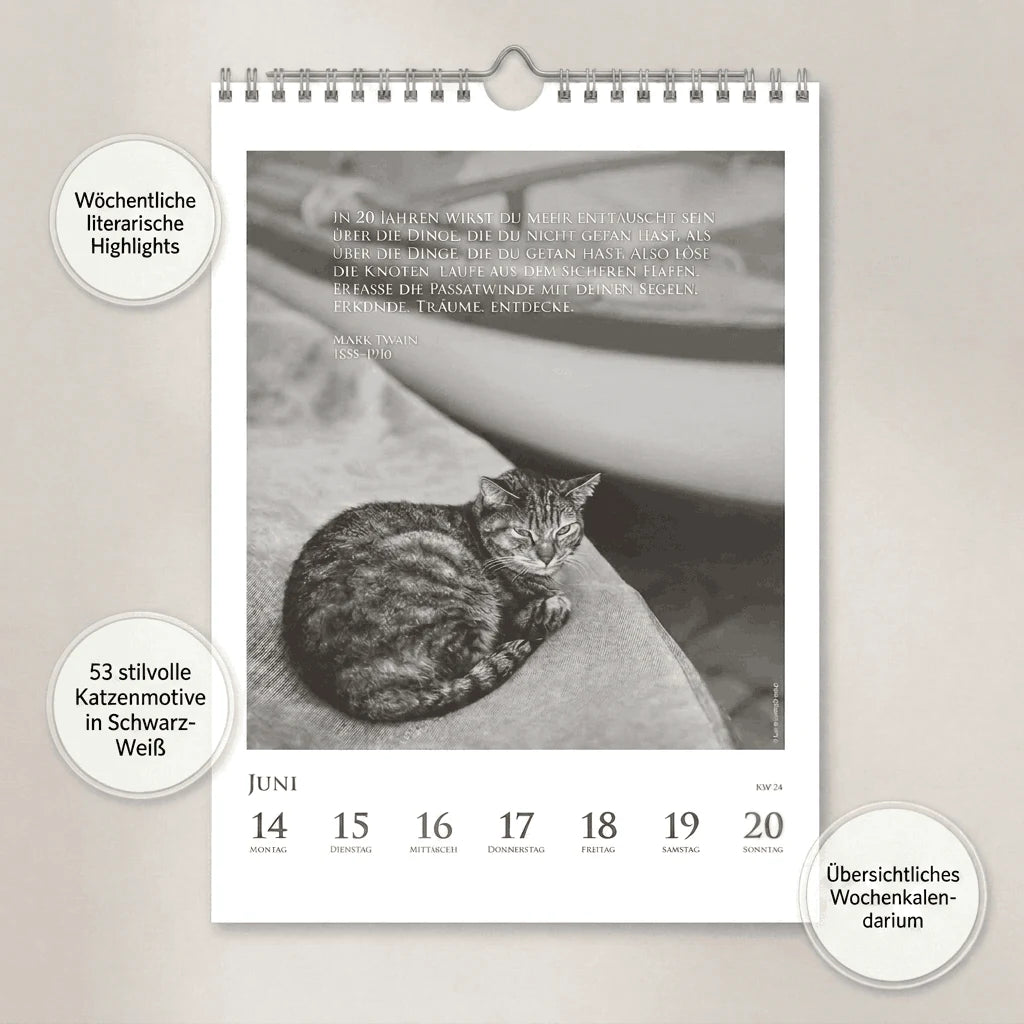 DUMONTS Katzenkalender 2027 – Ansicht