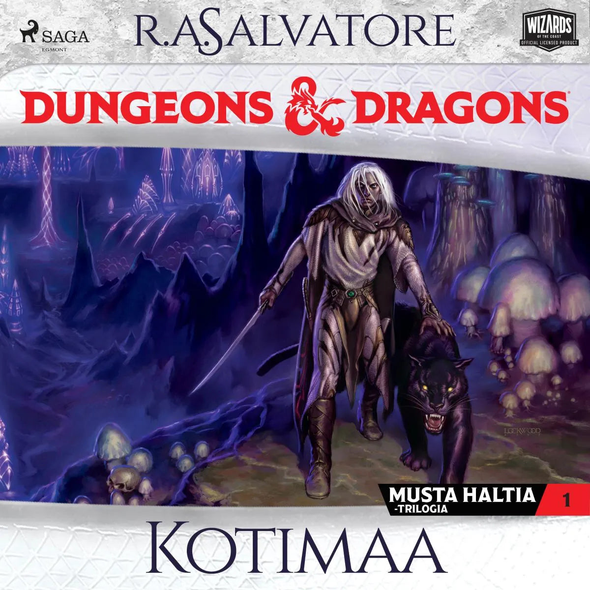 Cover: Dungeons & Dragons - Drizztin legenda: Kotimaa (Hörbuch Download) von R.A. Salvatore