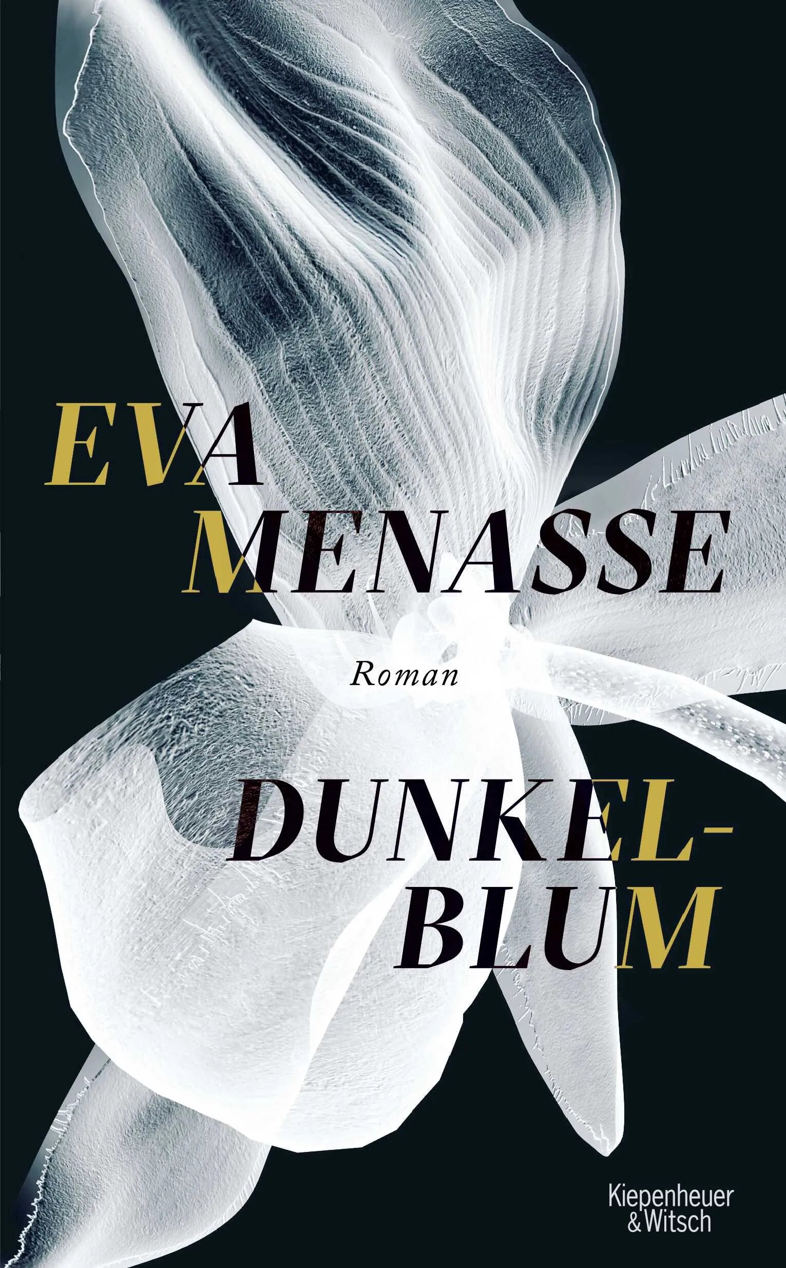 Buchcover von 'Dunkelblum' - Gebundene Ausgabe von Eva Menasse