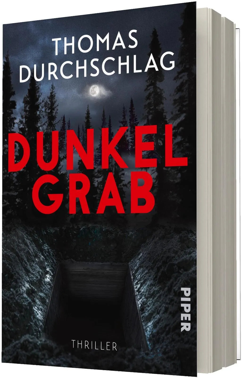 Detailansicht: Dunkelgrab (Paperback)