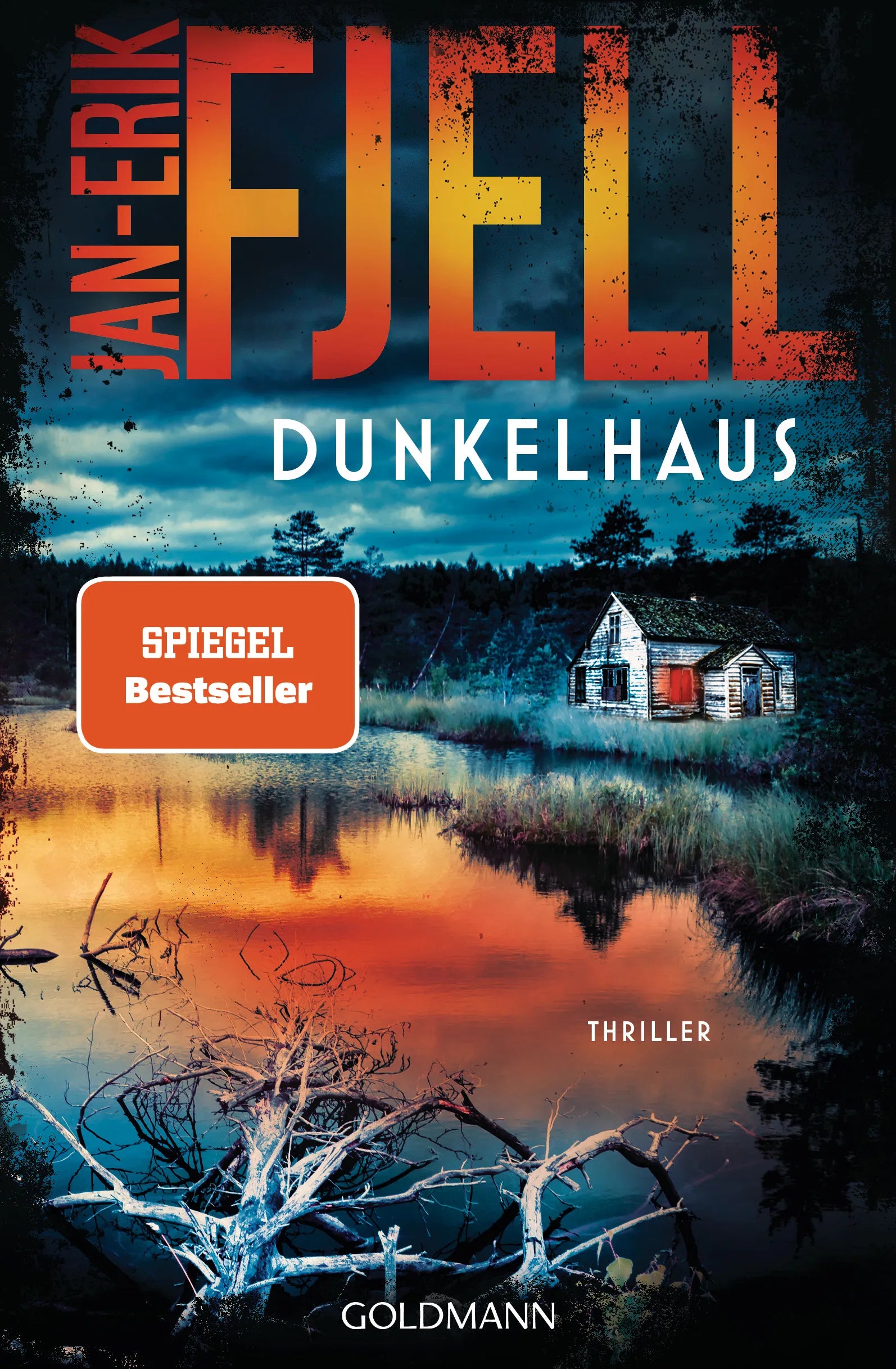 Cover: Dunkelhaus (E-Book) von Jan-Erik Fjell