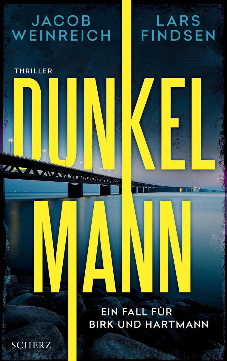 Cover: Dunkelmann (E-Book) von Lars Findsen
