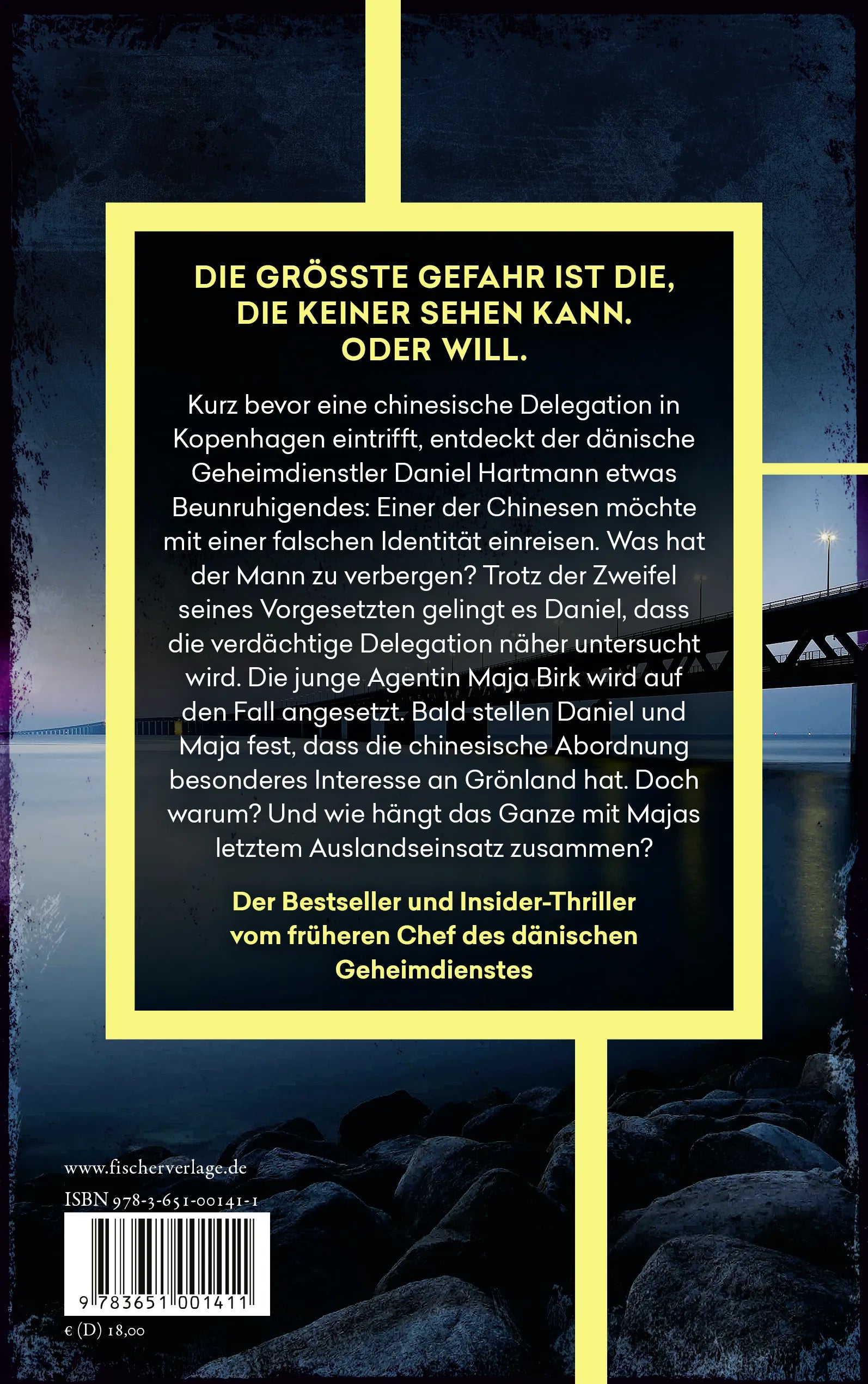 Rückseite: Dunkelmann (Paperback)
