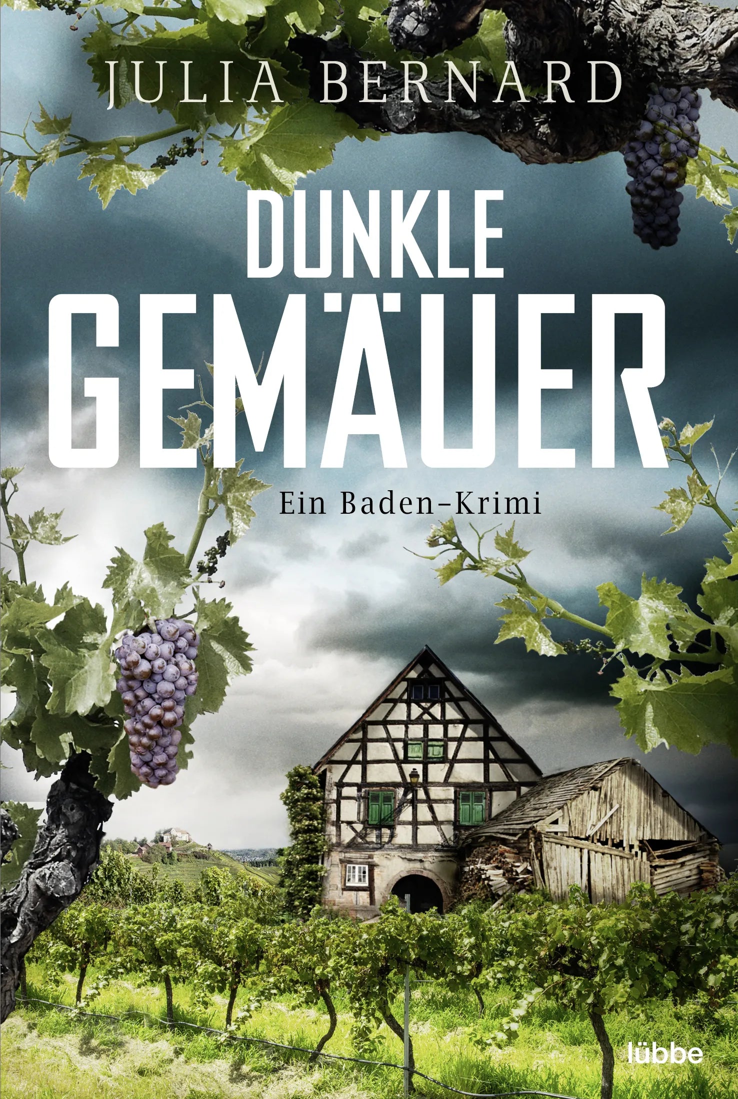 Buchcover von 'Dunkle Gemäuer' - Taschenbuch von Julia Bernard