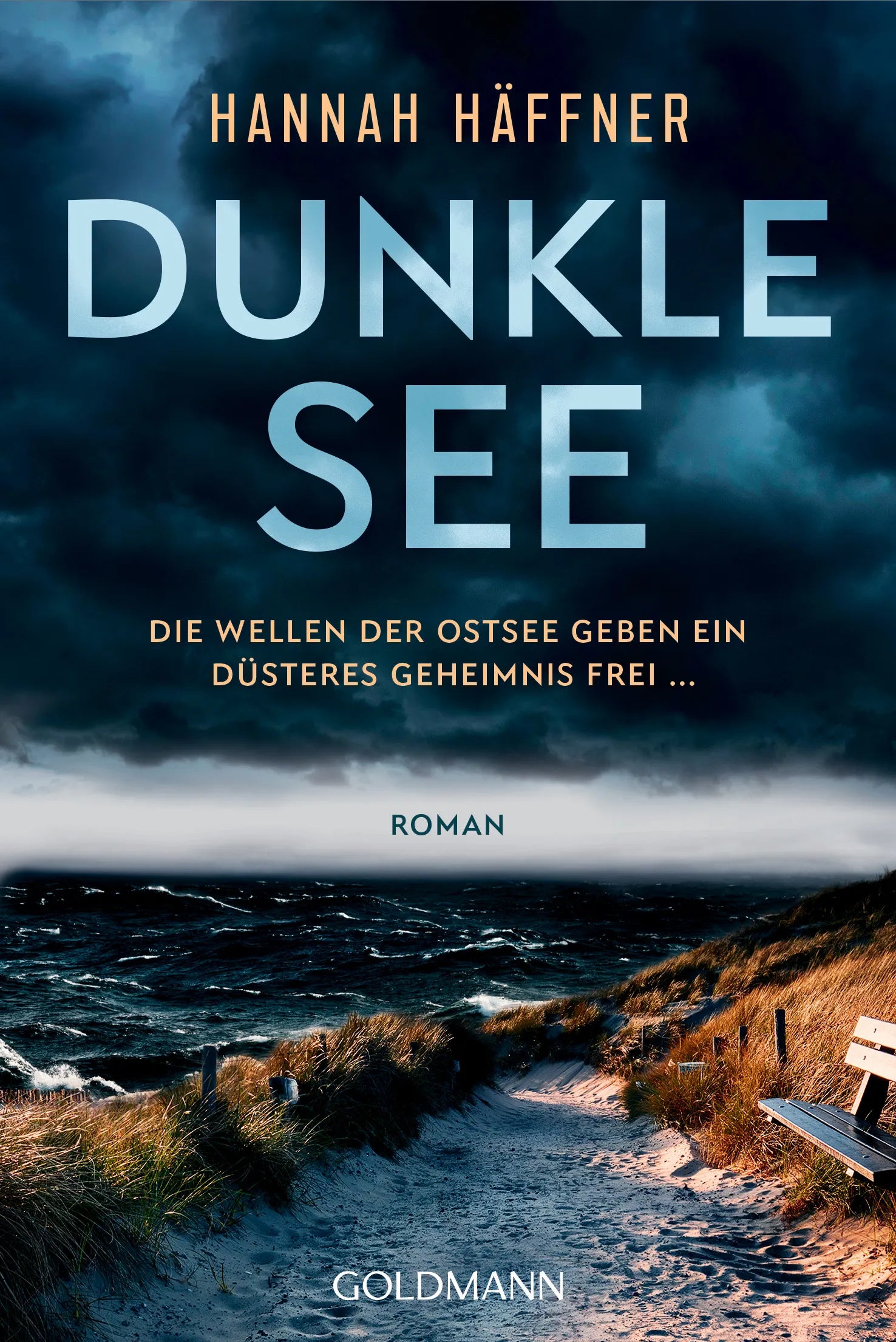 Cover: Dunkle See (E-Book) von Hannah Häffner