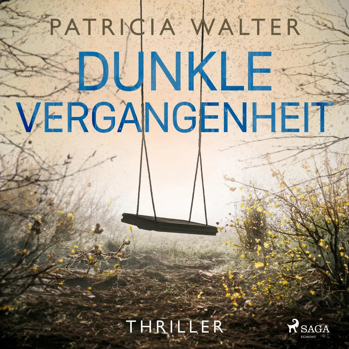 Cover: Dunkle Vergangenheit (Hörbuch Download) von Patricia Walter