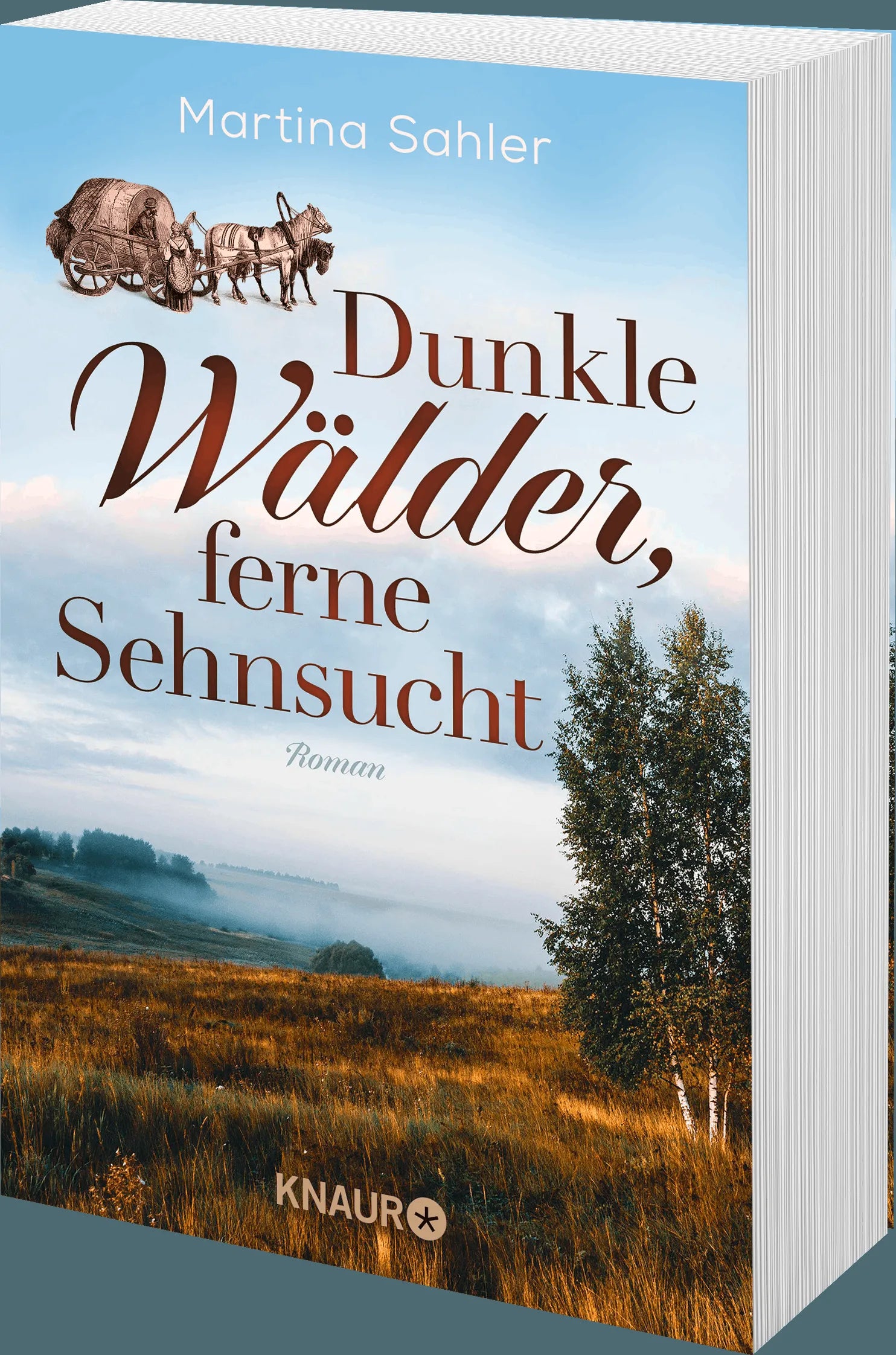 Detailansicht: Dunkle Wälder, ferne Sehnsucht (Taschenbuch)
