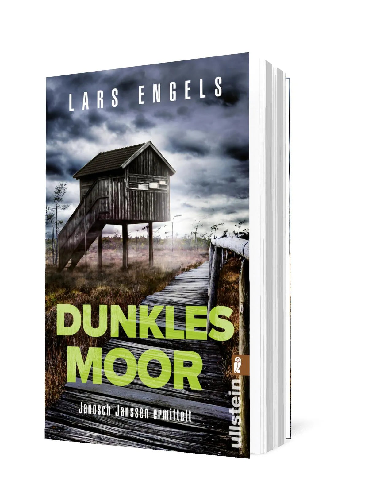 Detailansicht: Dunkles Moor (Taschenbuch)