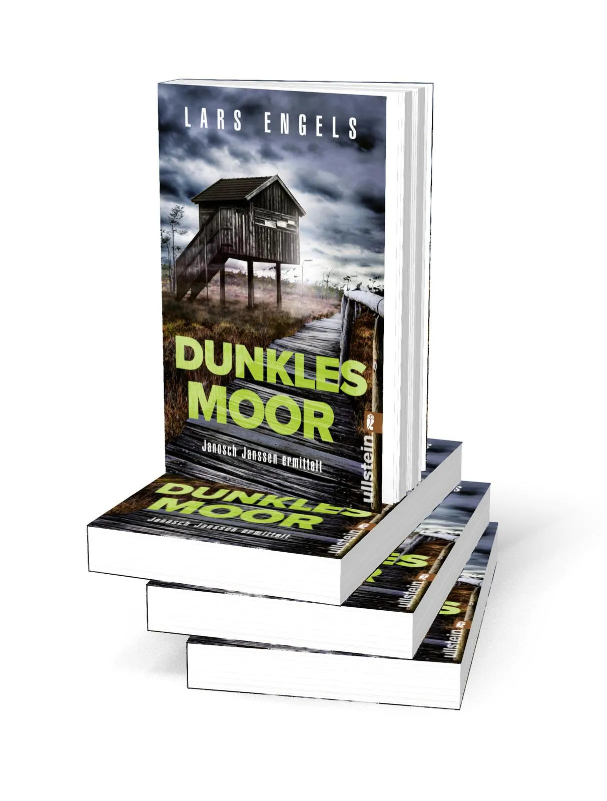 Detailansicht: Dunkles Moor (Taschenbuch)