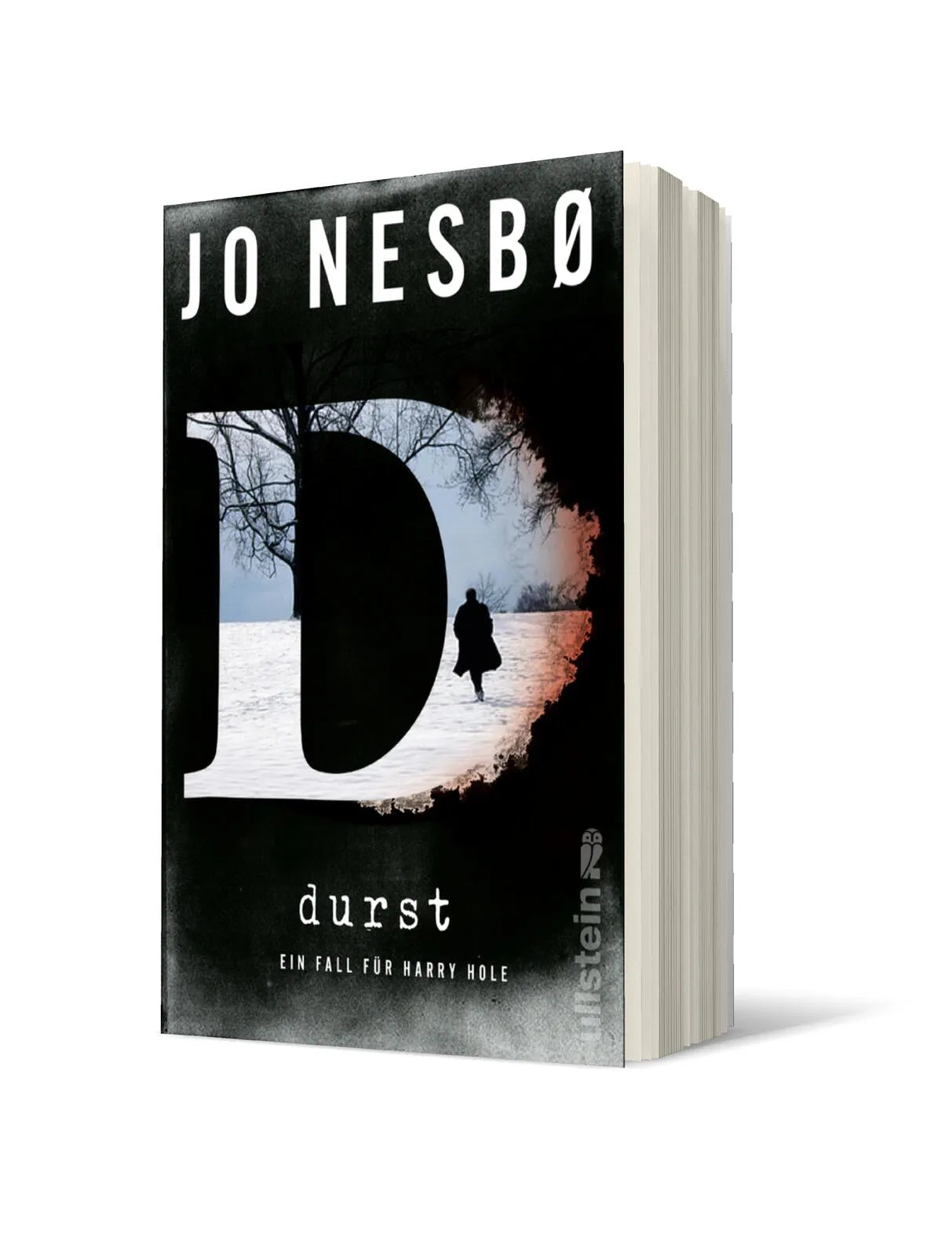 Produktansicht: Durst (Taschenbuch)
