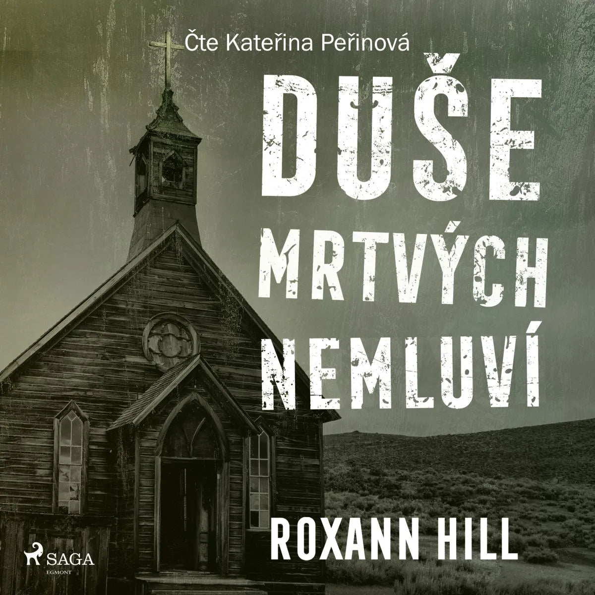 Cover: Duše mrtvých nemluví (Hörbuch Download) von Roxann Hill