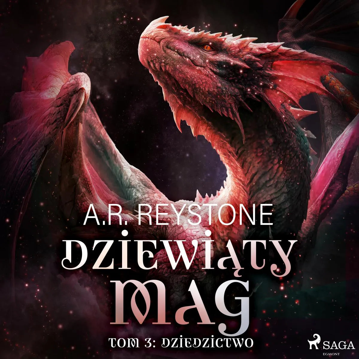 Cover: Dziewiąty Mag. Tom 3: Dziedzictwo (Hörbuch Download) von A.R. Reystone