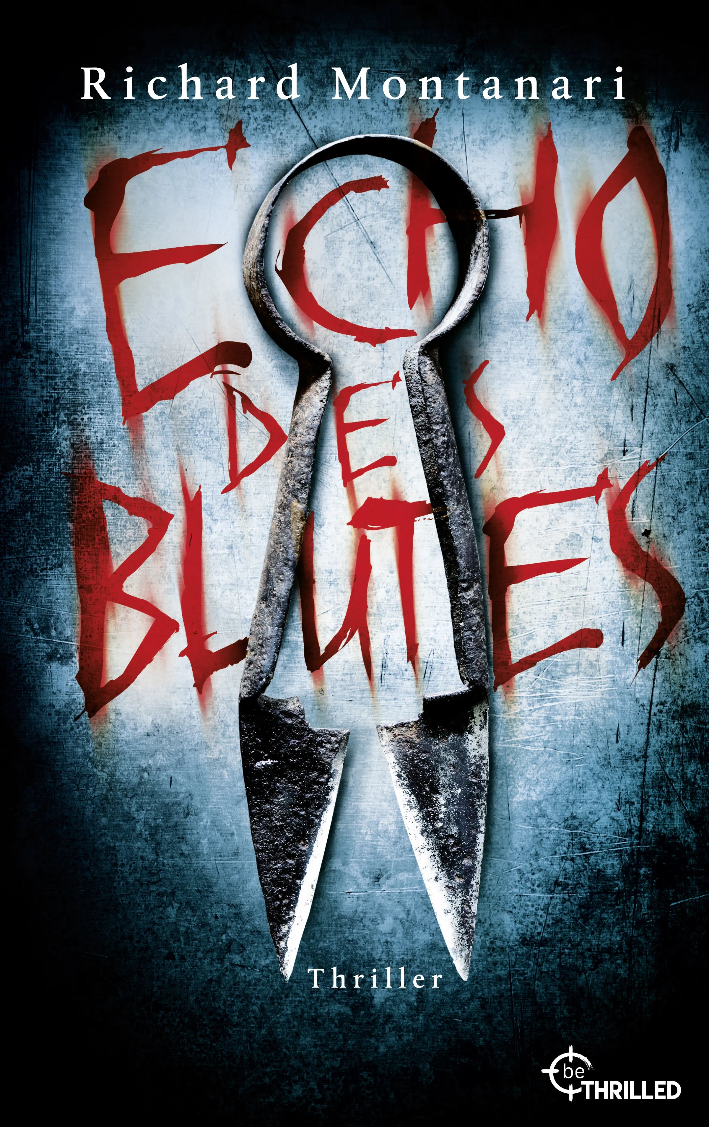 Cover: Echo des Blutes (E-Book) von Richard Montanari