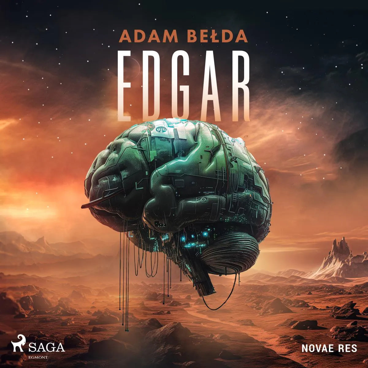 Cover: Edgar (Hörbuch Download) von Adam Belda