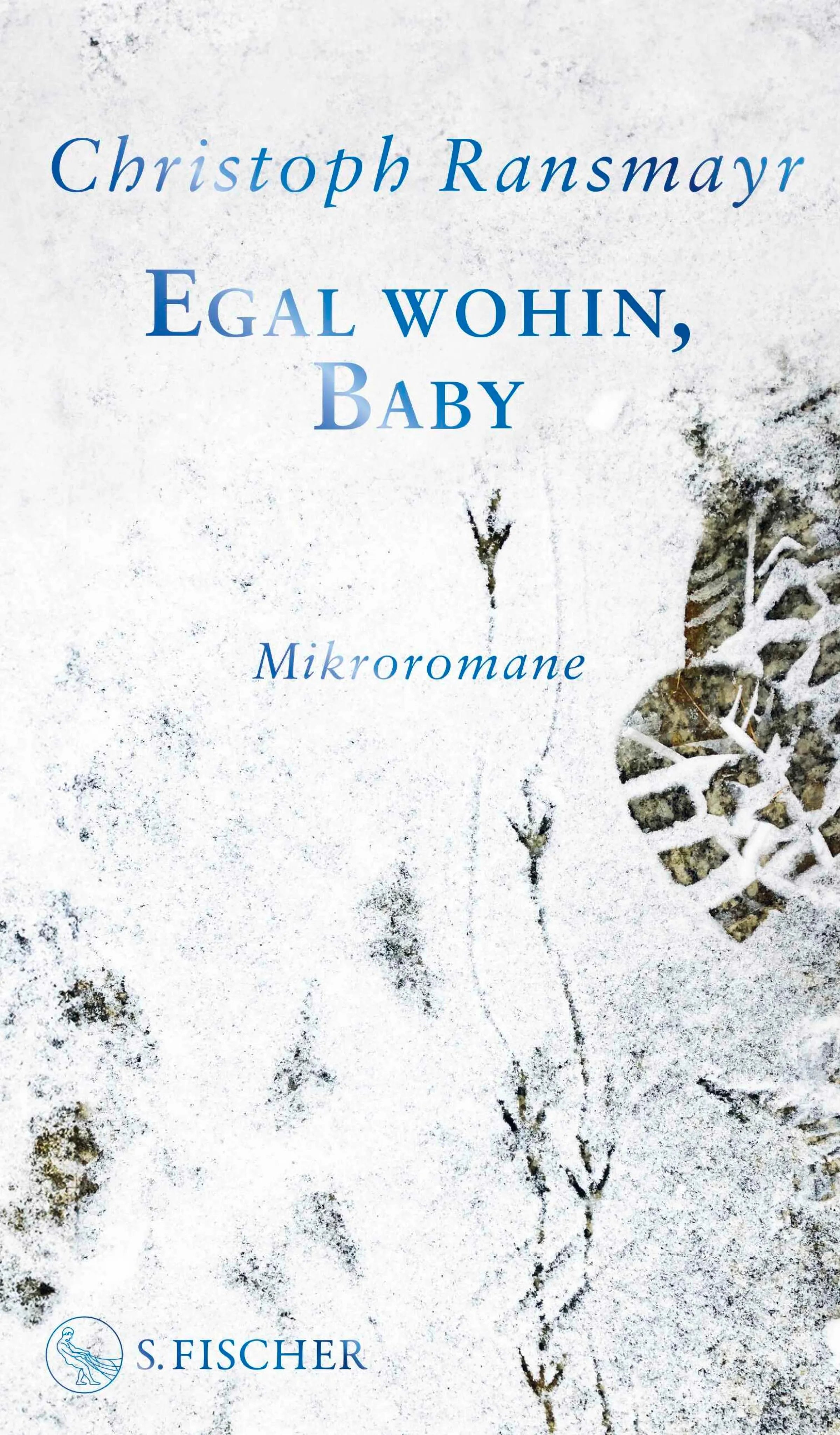 Cover: Egal wohin, Baby (E-Book) von Christoph Ransmayr