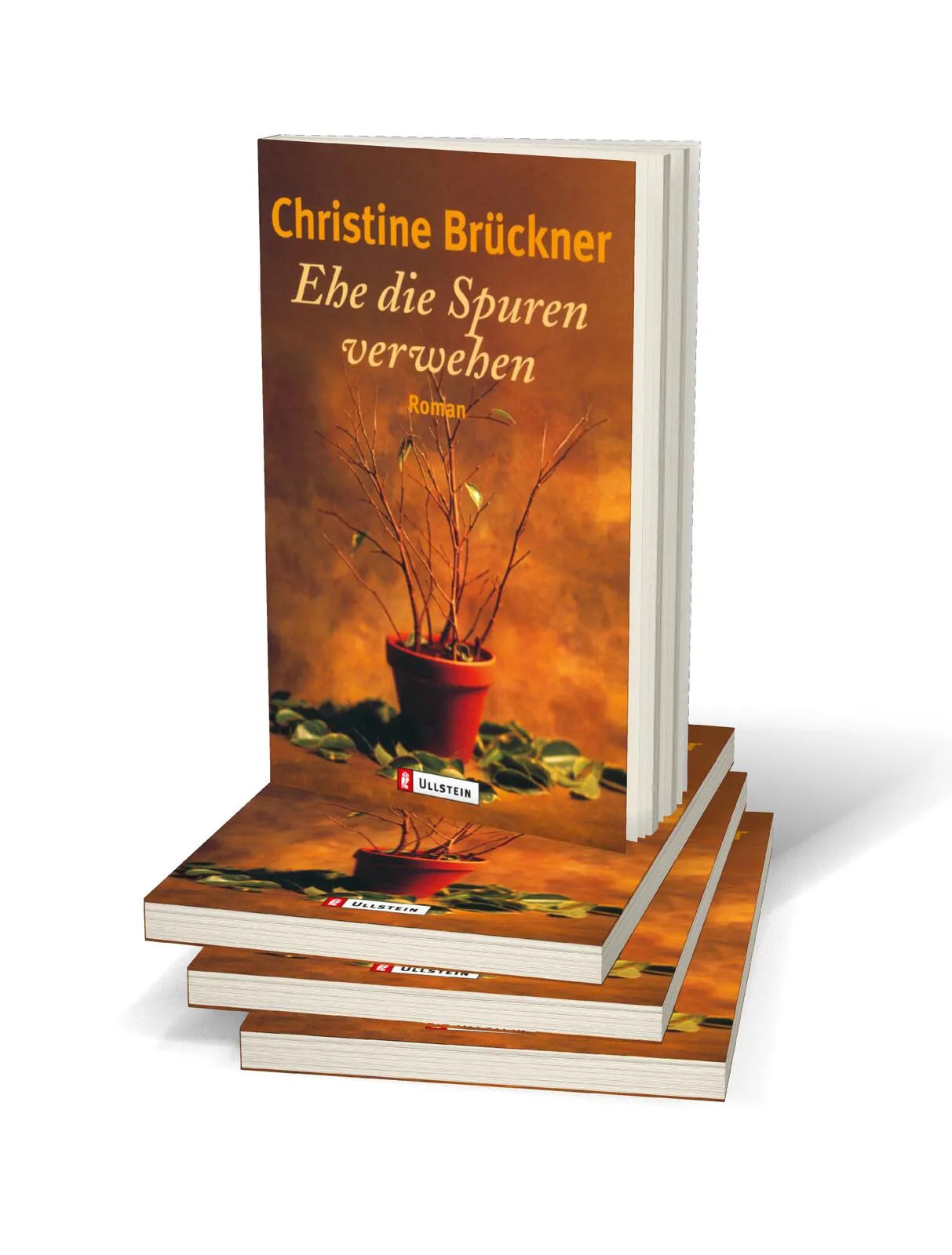 Produktansicht: Ehe die Spuren verwehen (Taschenbuch)