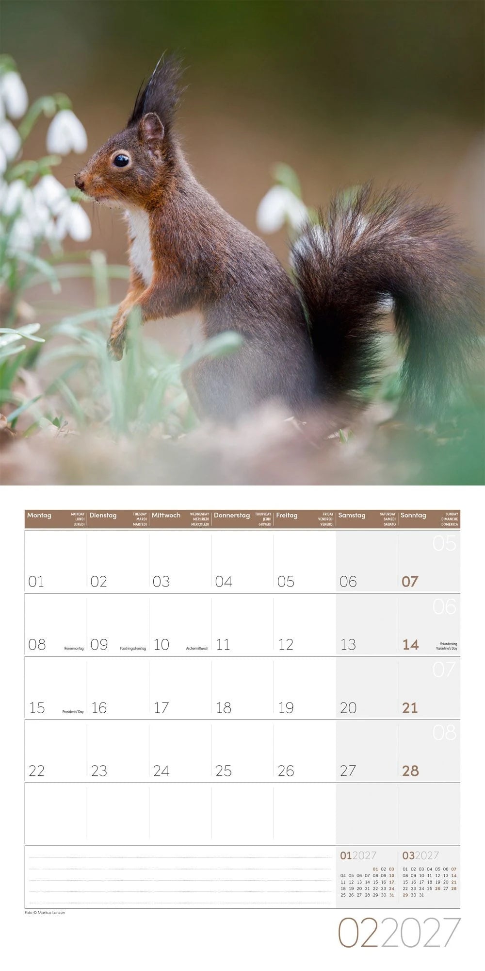 Eichhörnchen Kalender 2027 - 30x30 - Art12 – Ansicht
