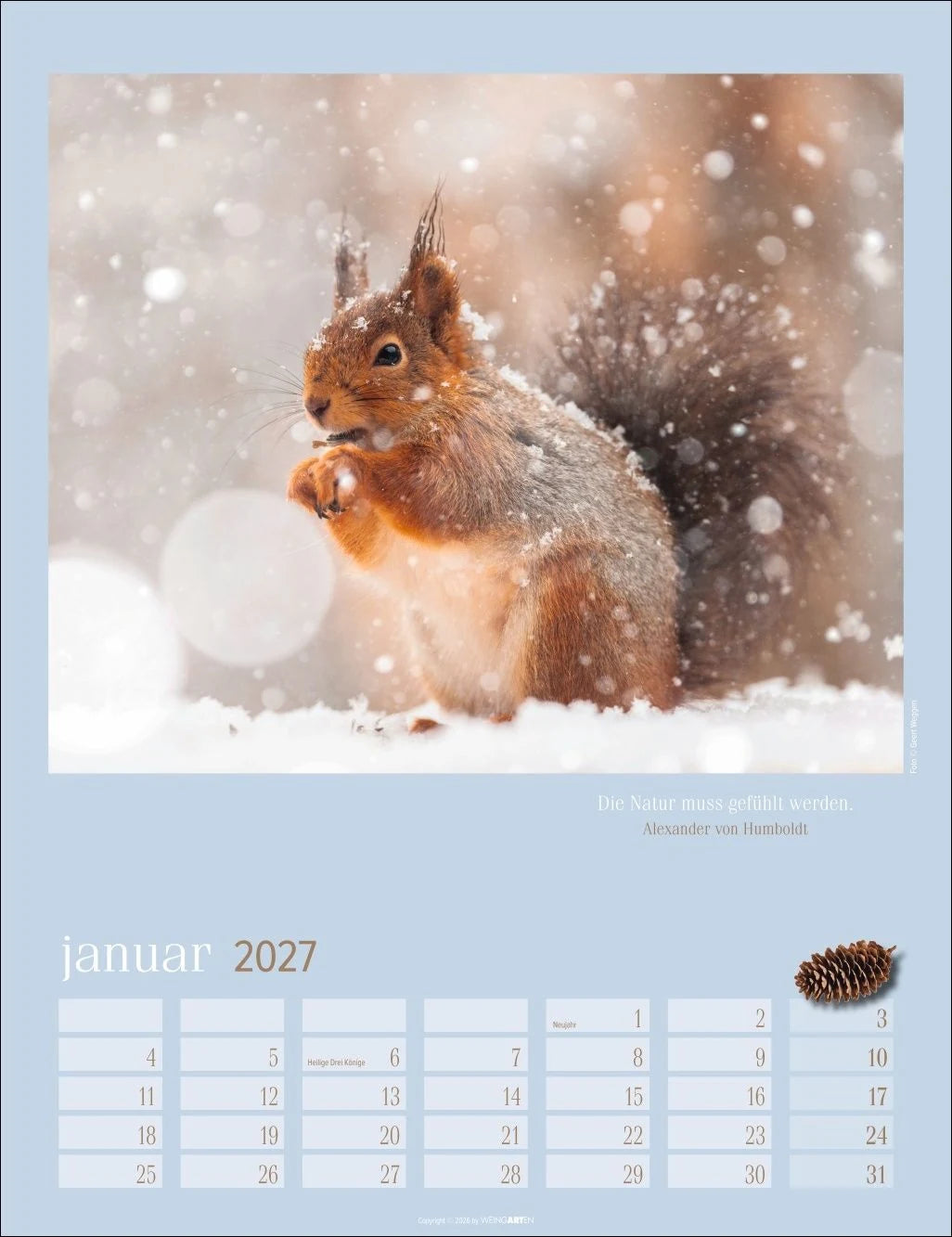 Eichhörnchen Kalender 2027 – Ansicht
