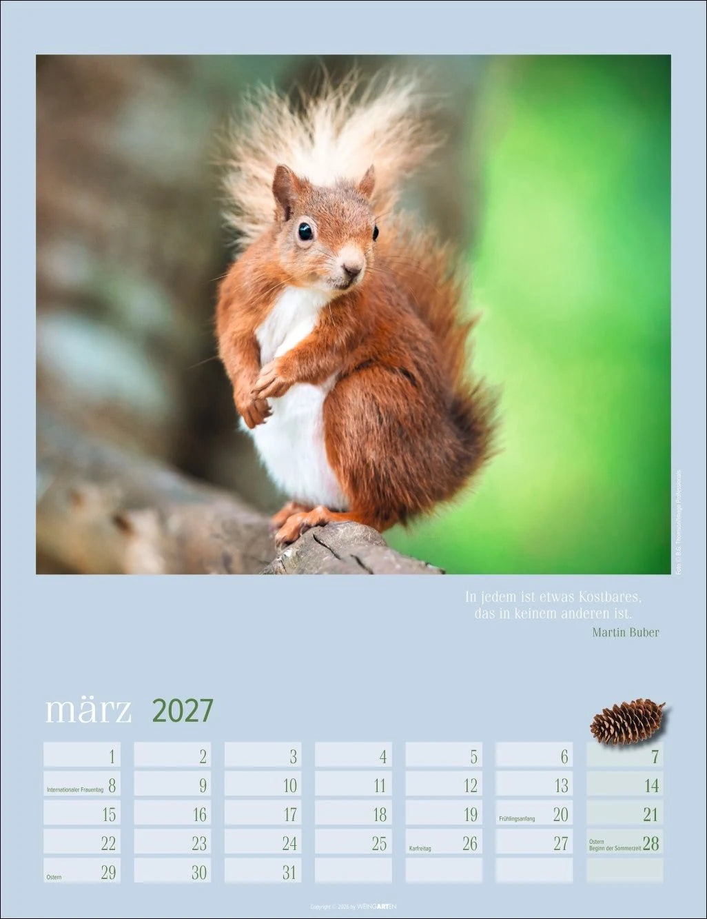 Eichhörnchen Kalender 2027 – Ansicht