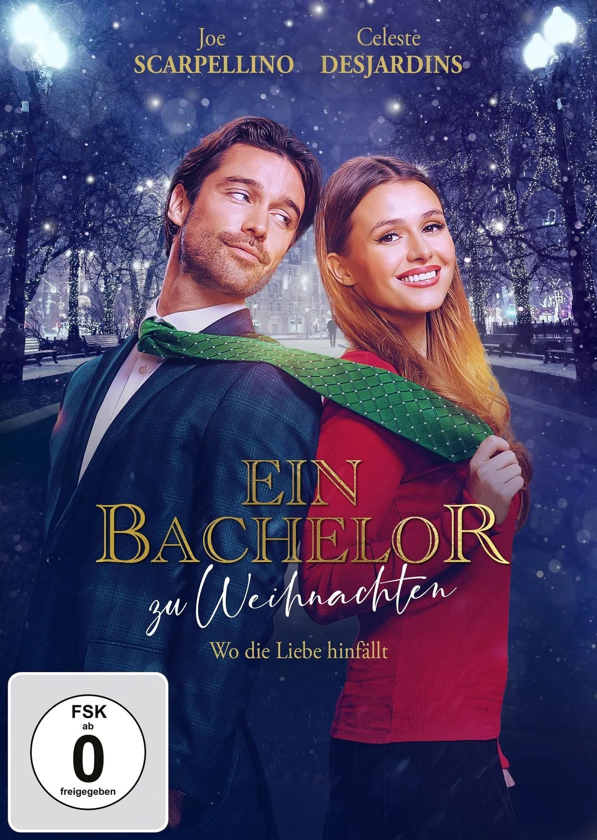 Ein Bachelor zu Weihnachten - DVD