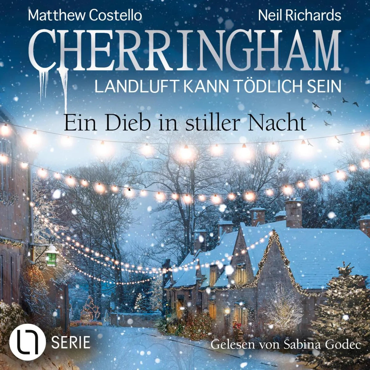 Cover: Ein Dieb in stiller Nacht (Hörbuch Download) von Matthew Costello
