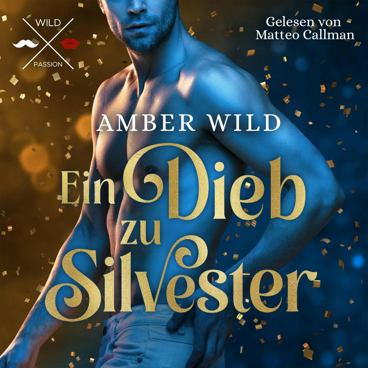 Cover: Ein Dieb zu Silvester (Hörbuch Download) von Amber Wild