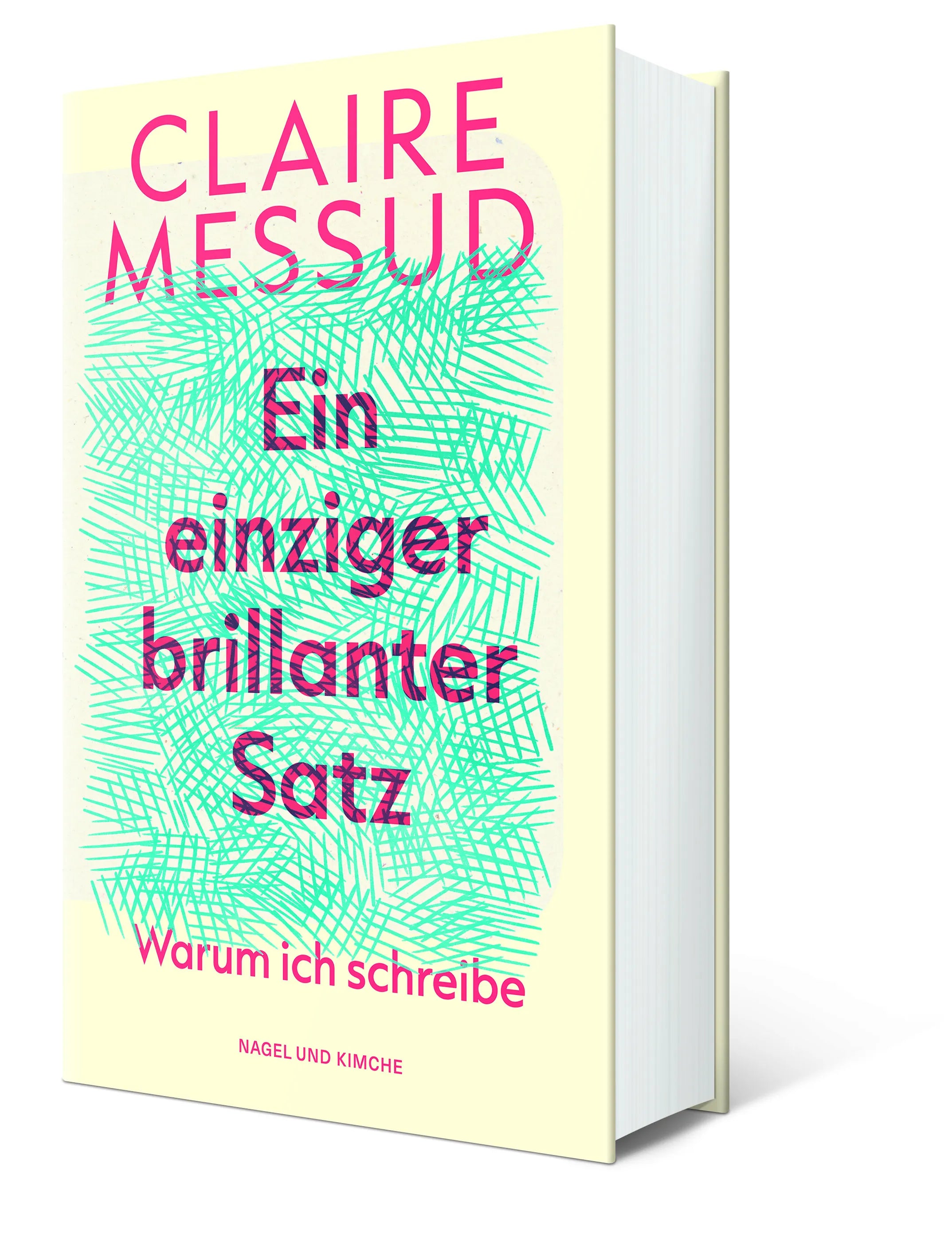 Claire Messud - Ein einziger brillanter Satz