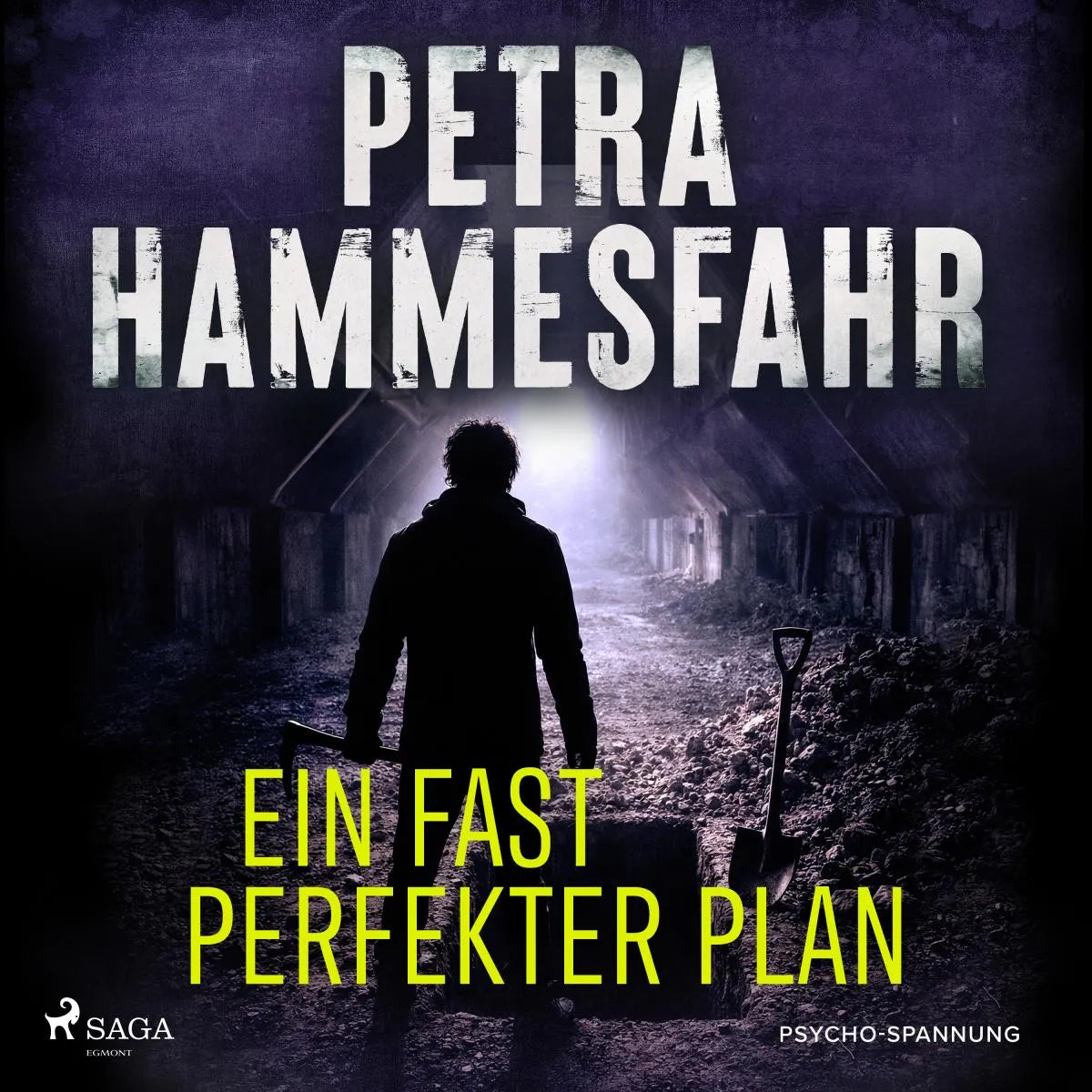 Cover: Ein fast perfekter Plan (Hörbuch Download) von Petra Hammesfahr