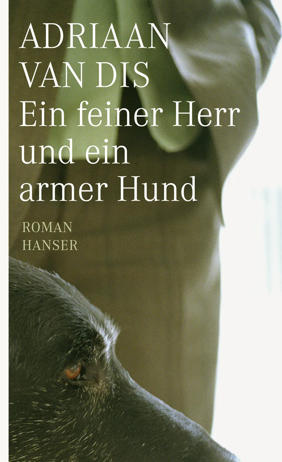 Buchcover von 'Ein feiner Herr und ein armer Hund' - Gebundene Ausgabe von Adriaan van Dis