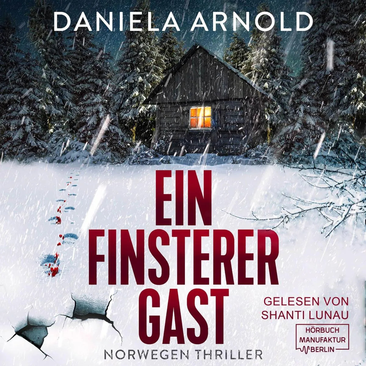 Cover: Ein finsterer Gast (Hörbuch Download) von Daniela Arnold