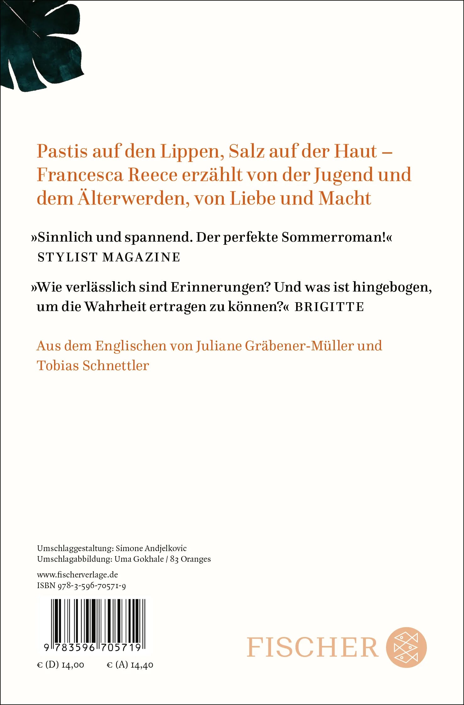 Buchrückseite von 'Ein französischer Sommer' mit Klappentext - Taschenbuch