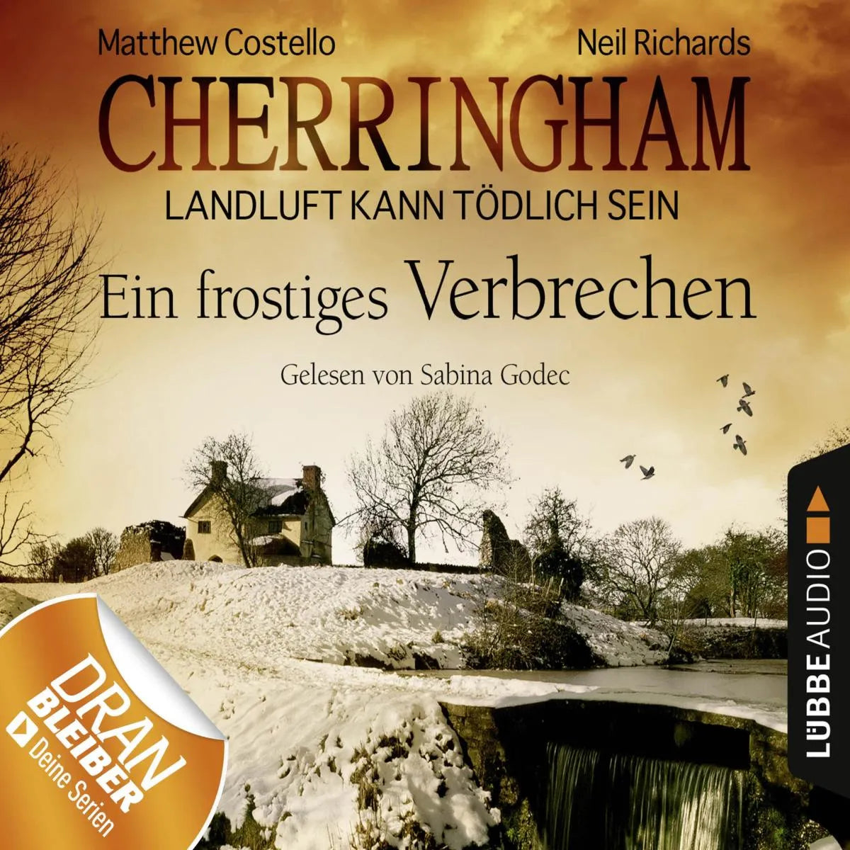 Cover: Ein frostiges Verbrechen (Hörbuch Download) von Matthew Costello