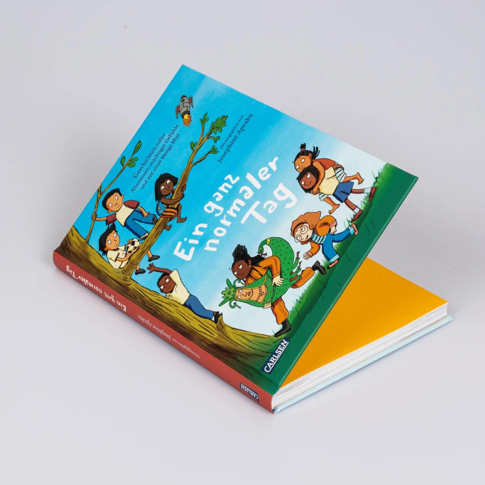 Produktansicht: Ein ganz normaler Tag (Gebundene Ausgabe)